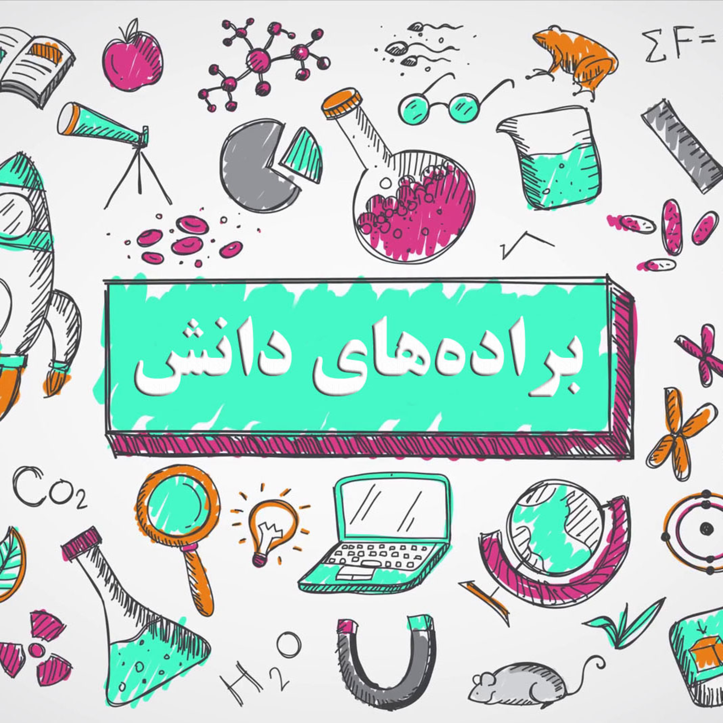 🔰 براده‌های دانش (۱۳ تا ۱۵)