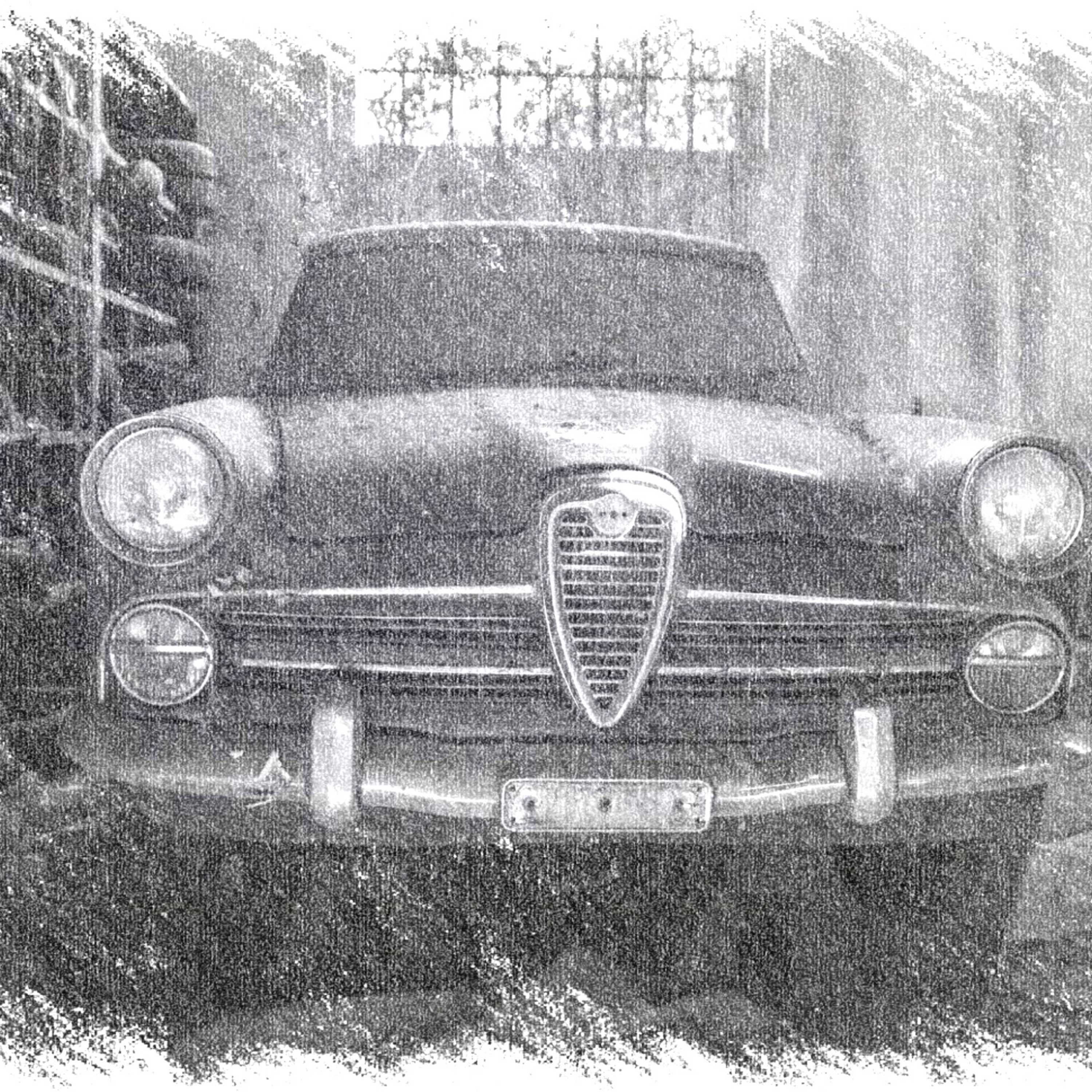 La bottega dell\'abbandono