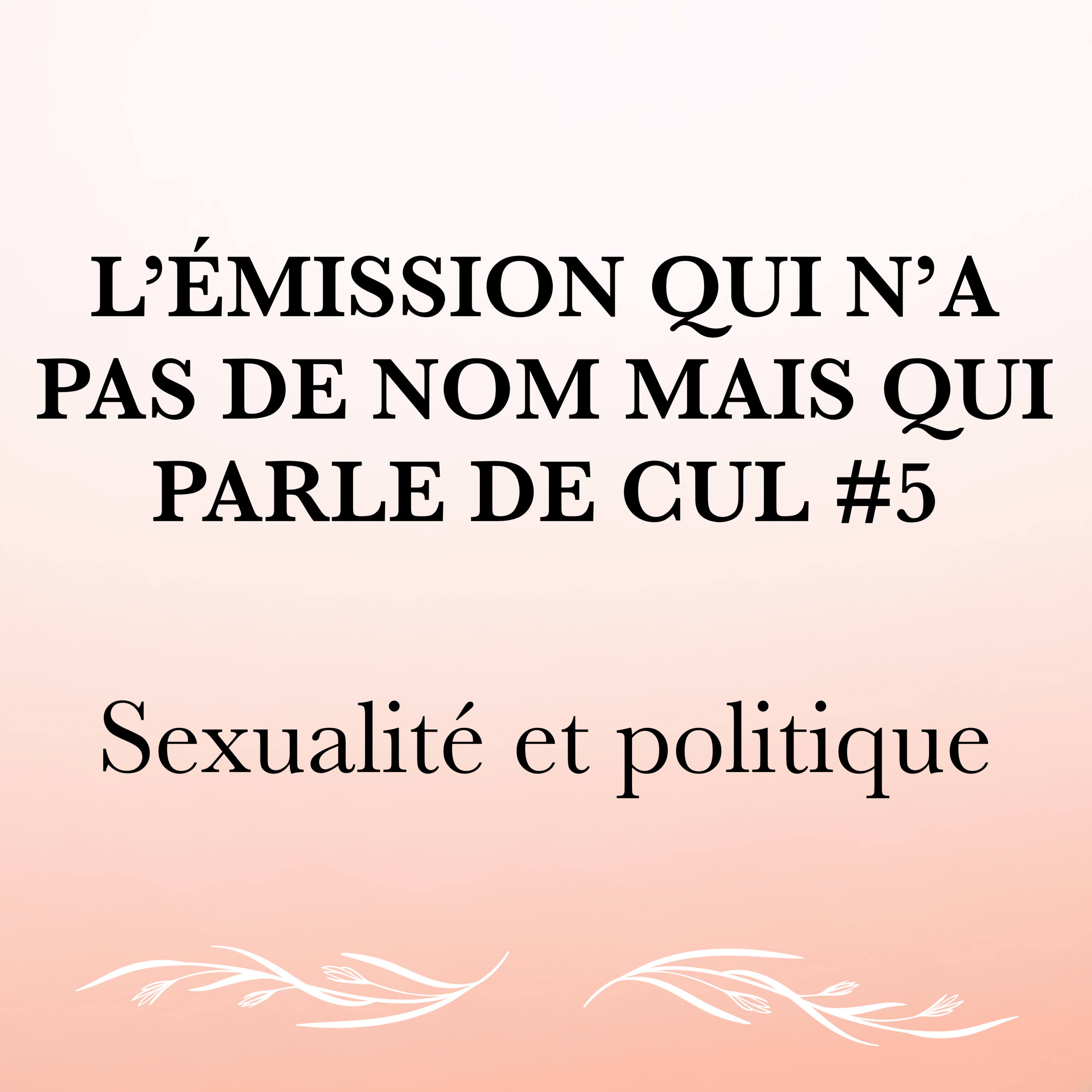 L'émission qui n'a pas de nom mais qui parle de cul #5 : sexualité et politique