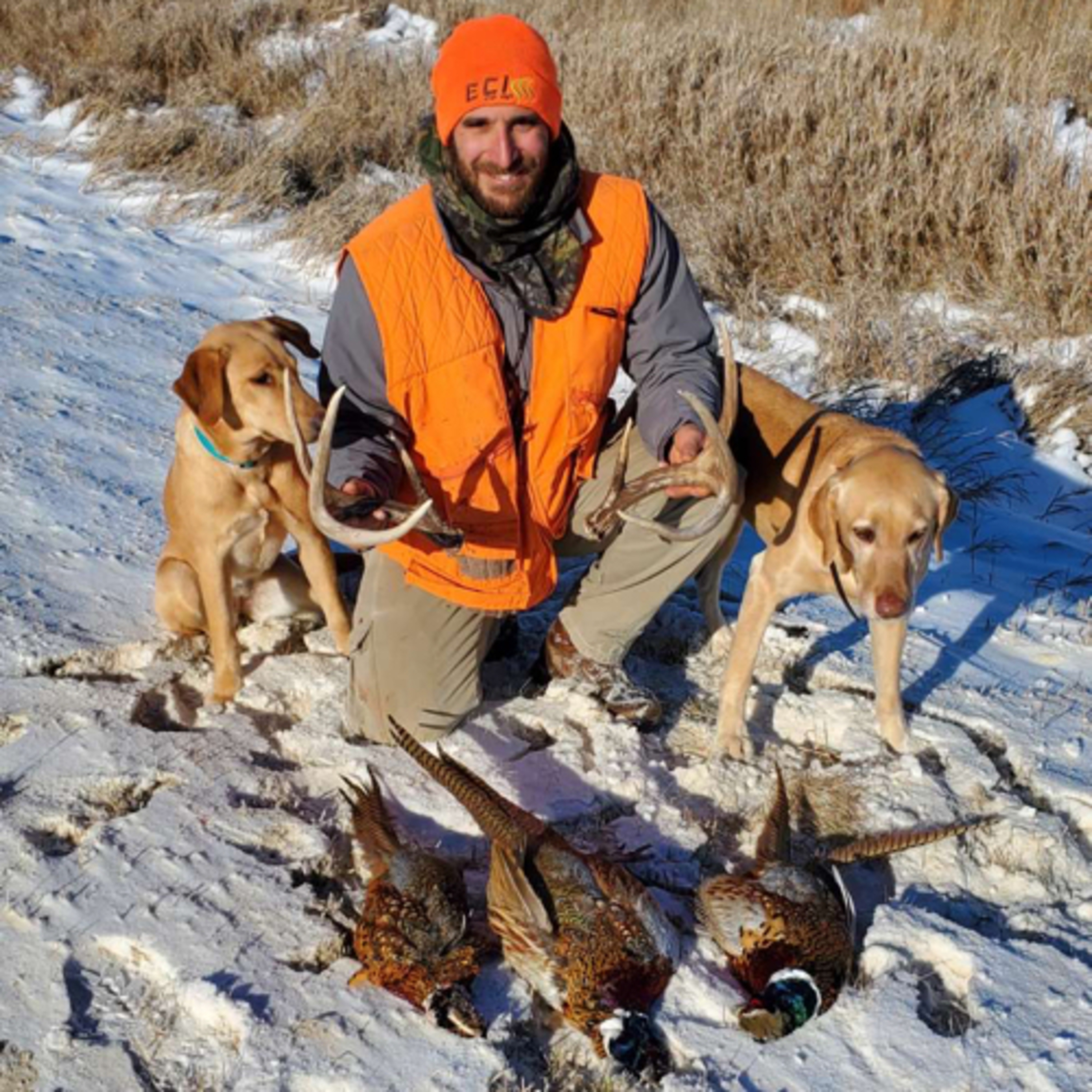 Pheasant, Grouse, Deer and Sheds with Justin Nie episode artwork