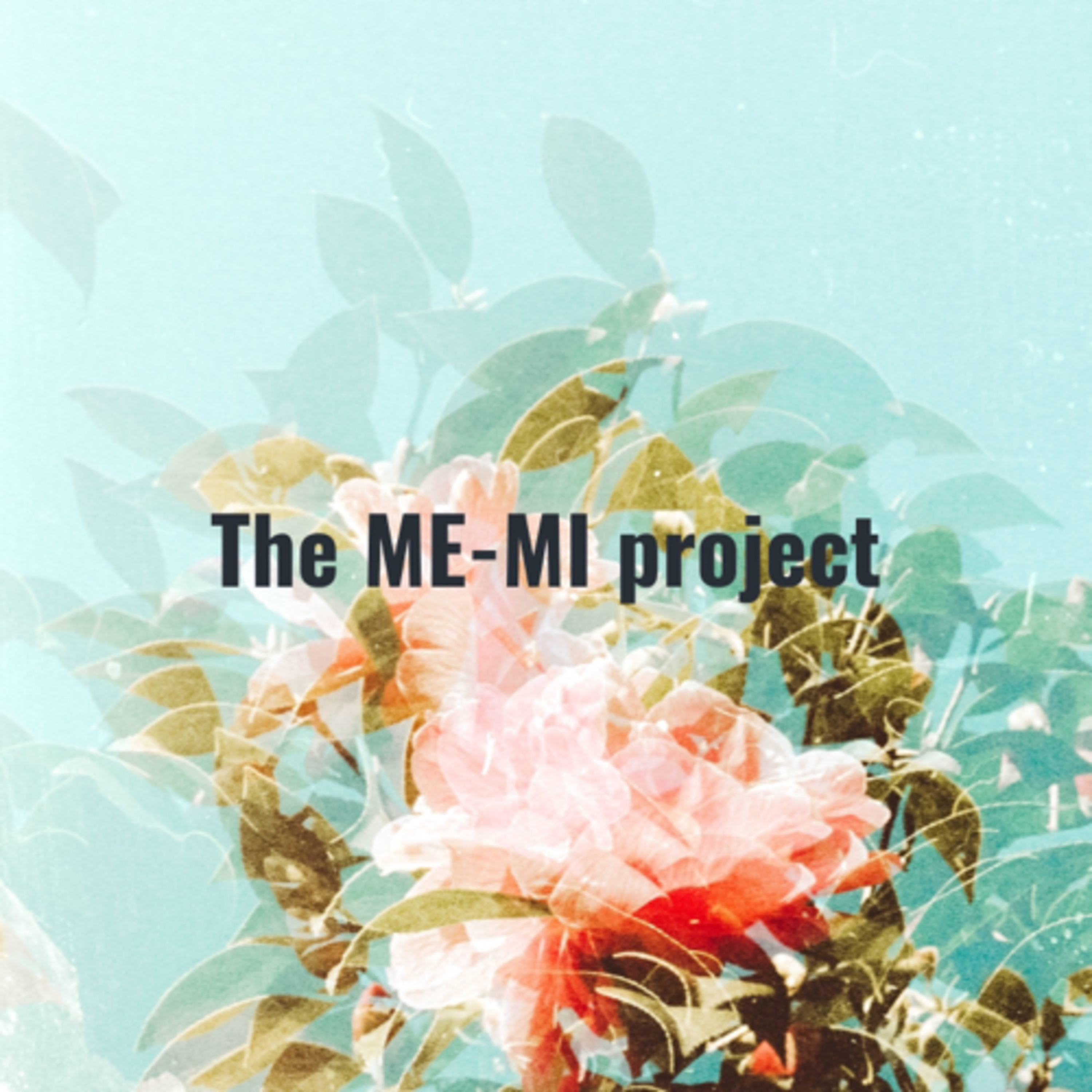 The ME-MI project