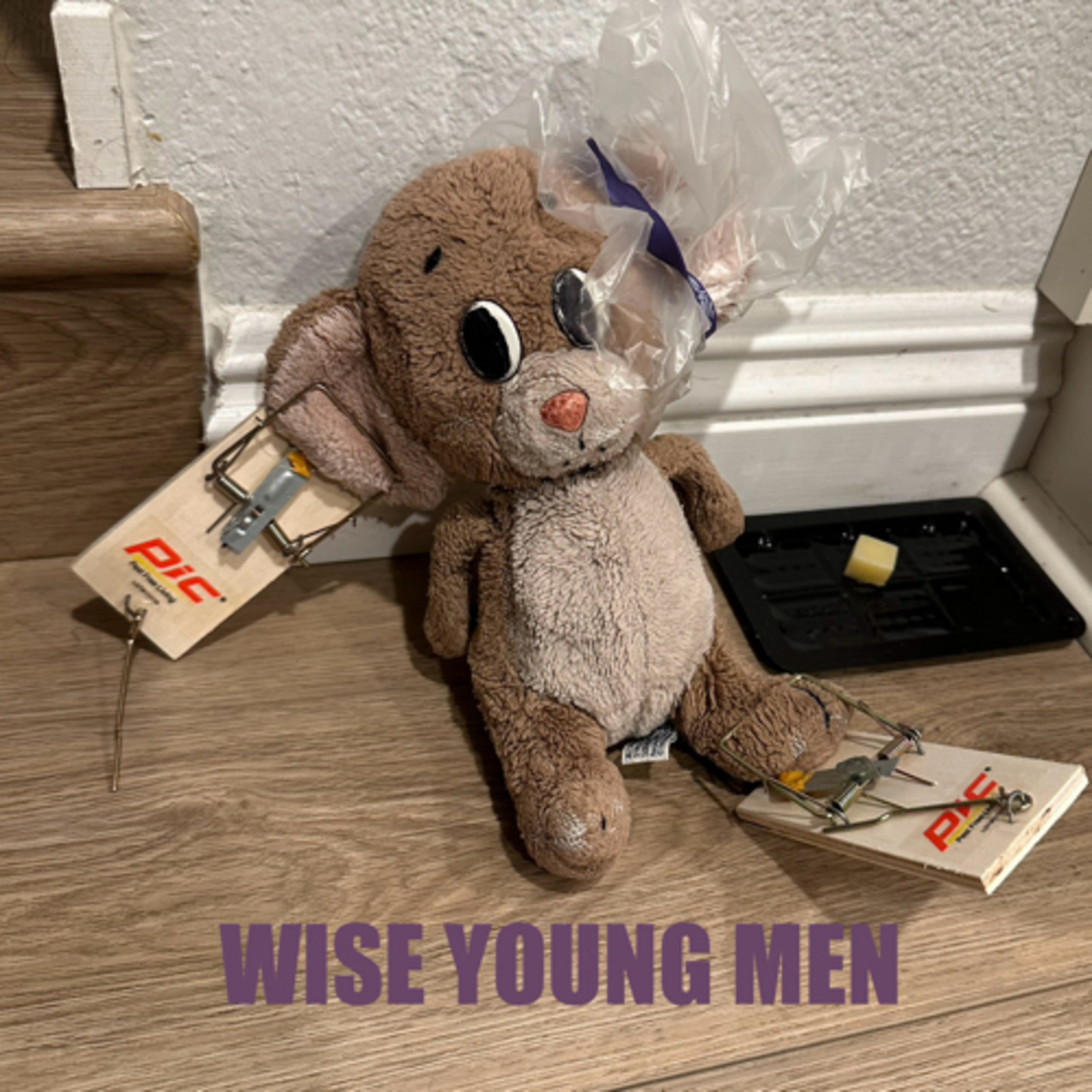 Wise Young Men