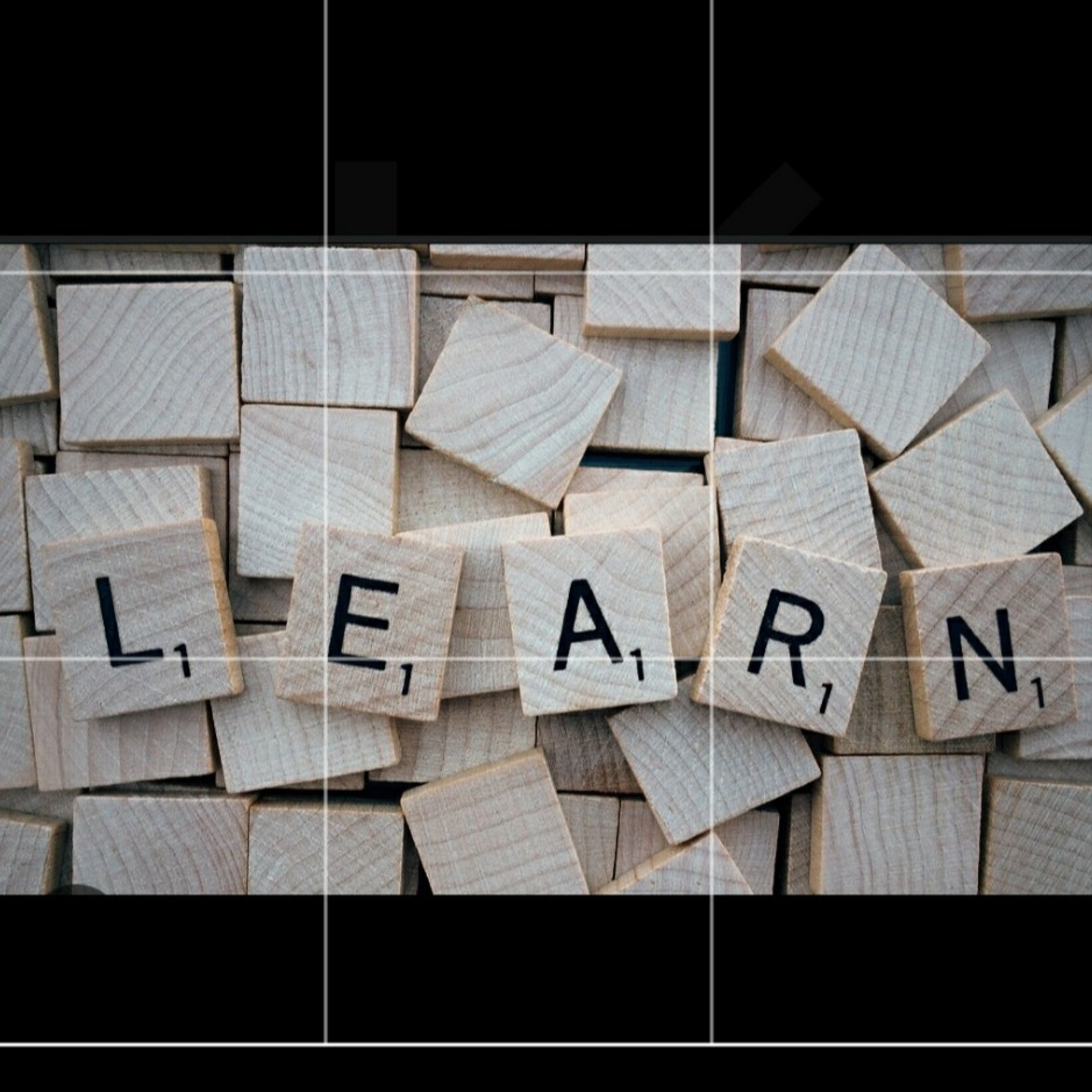 Learn Something about Everything! episode artwork