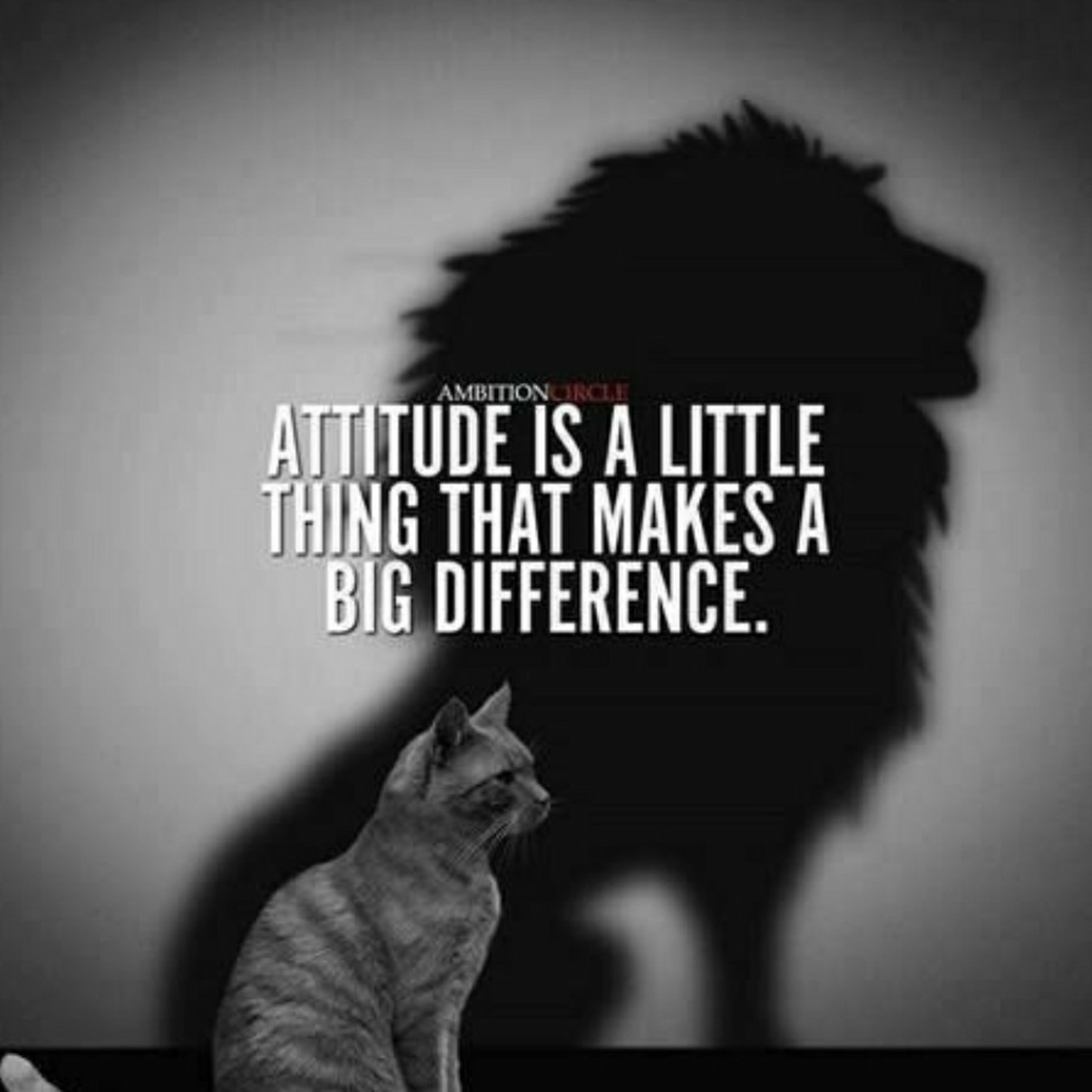 Attitude quote episode artwork