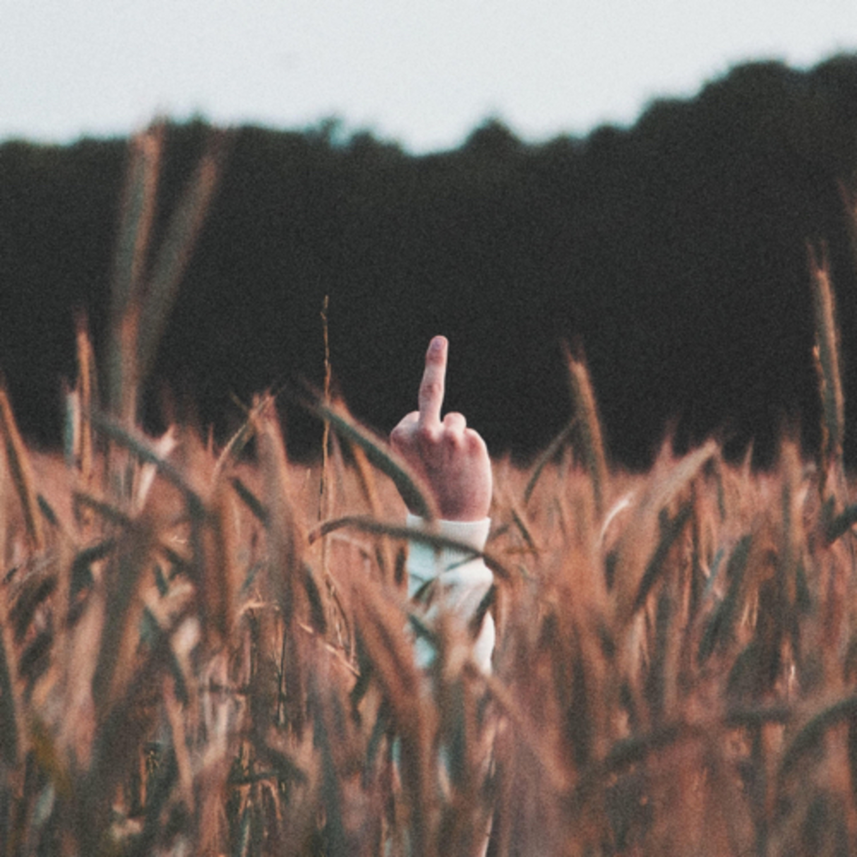 The 7 Most Annoying Things In Life