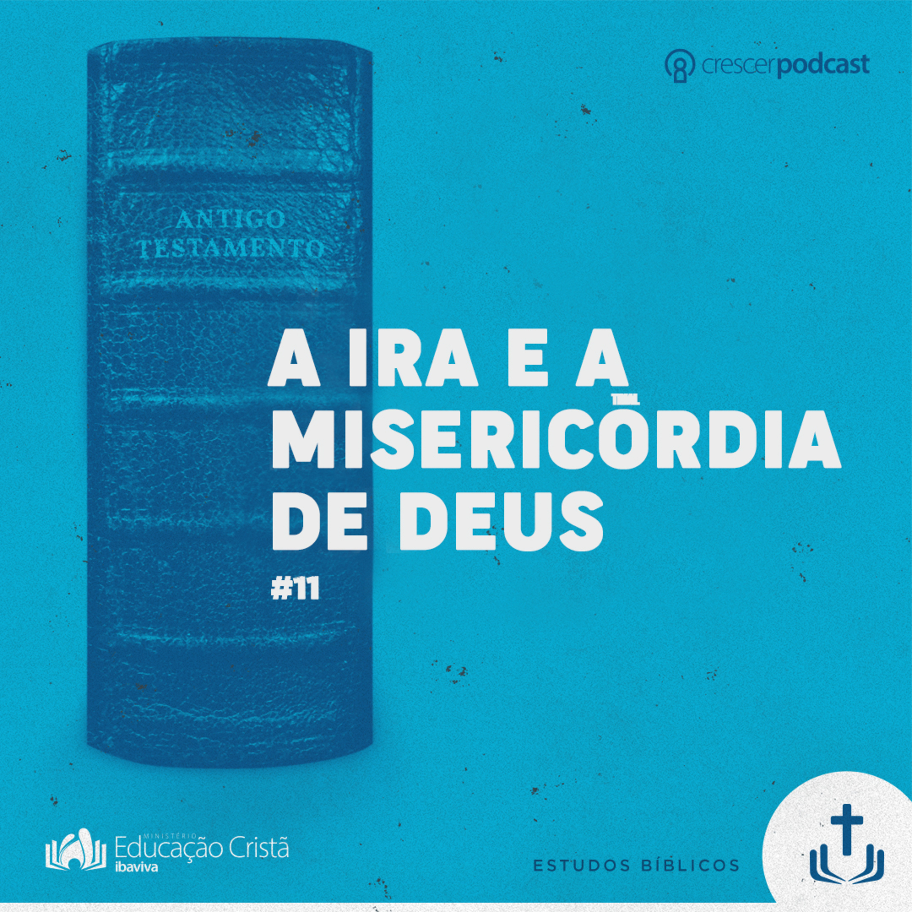 A mensagem do Antigo Testamento - Aula#11: A ira e a misericórdia de Deus