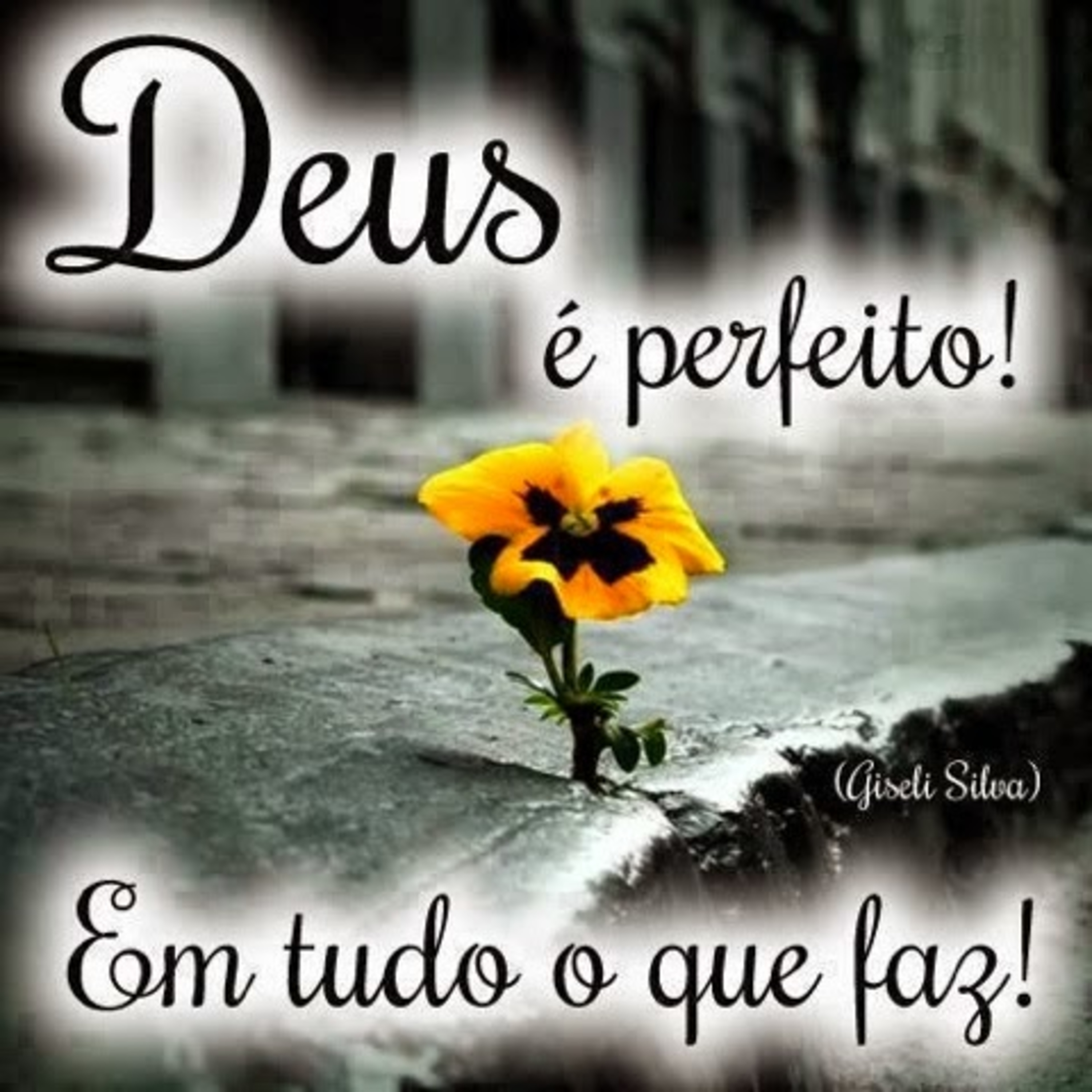 Pensando na Palavra