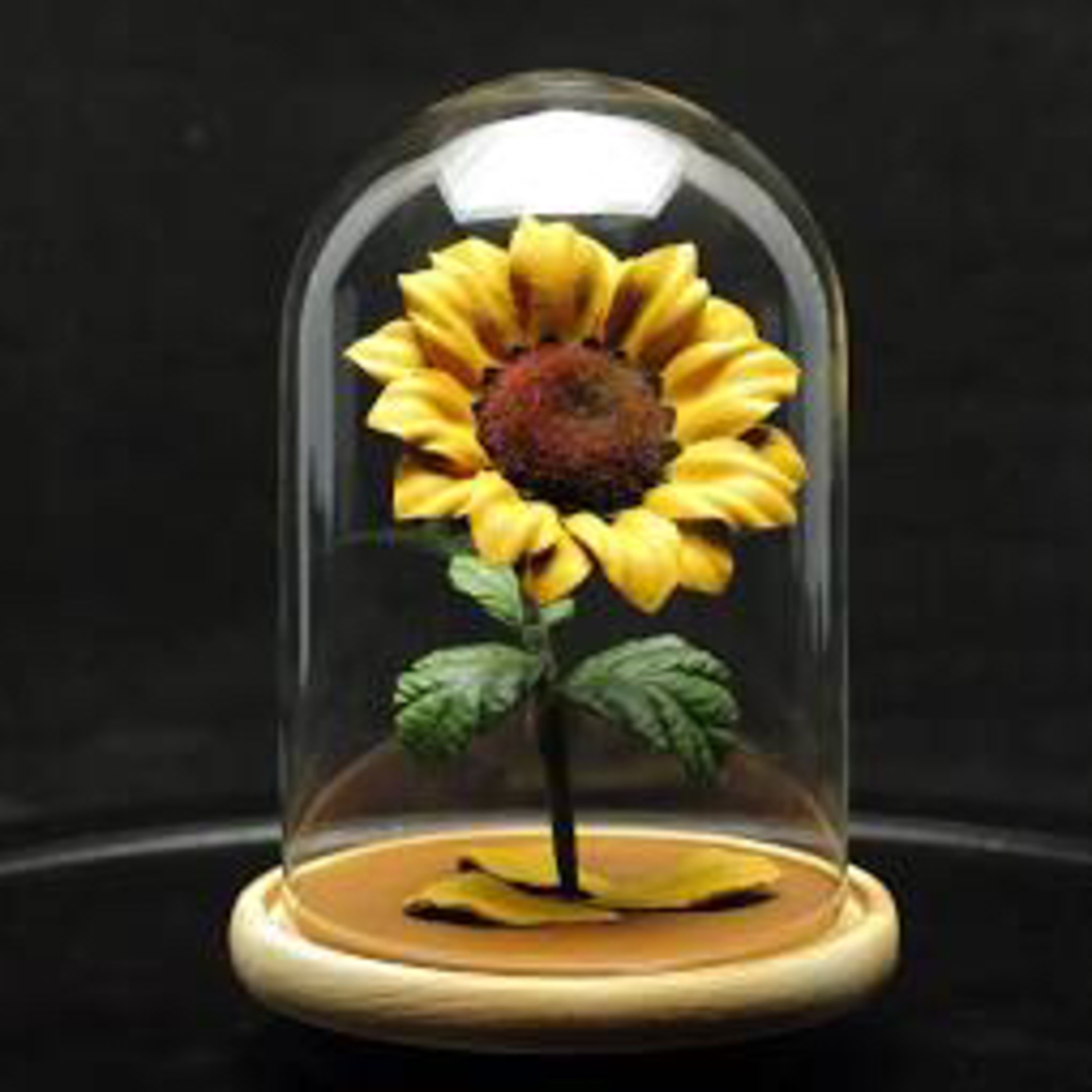 Sunflower In The Sun  episode artwork