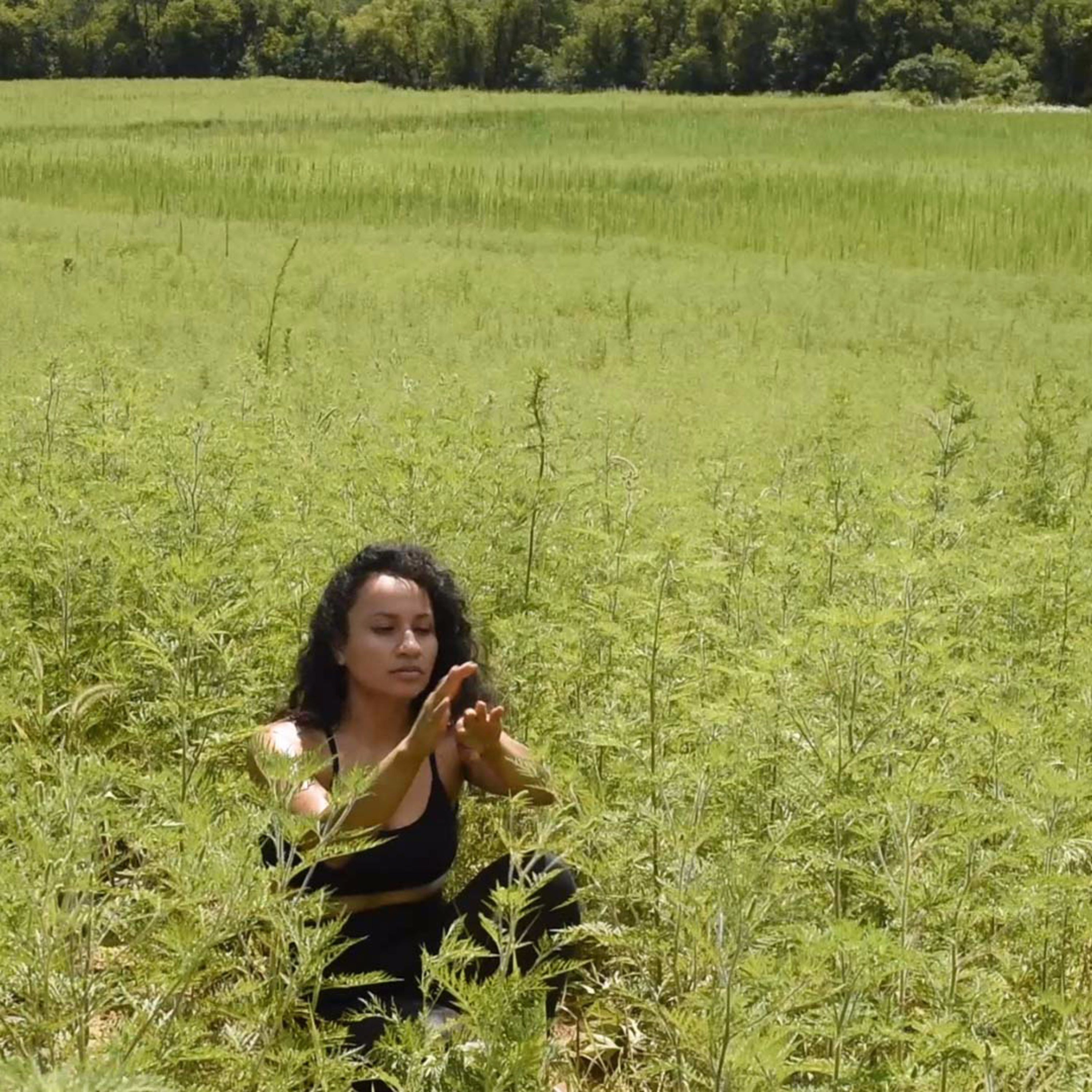 Cage Match Project Podcast