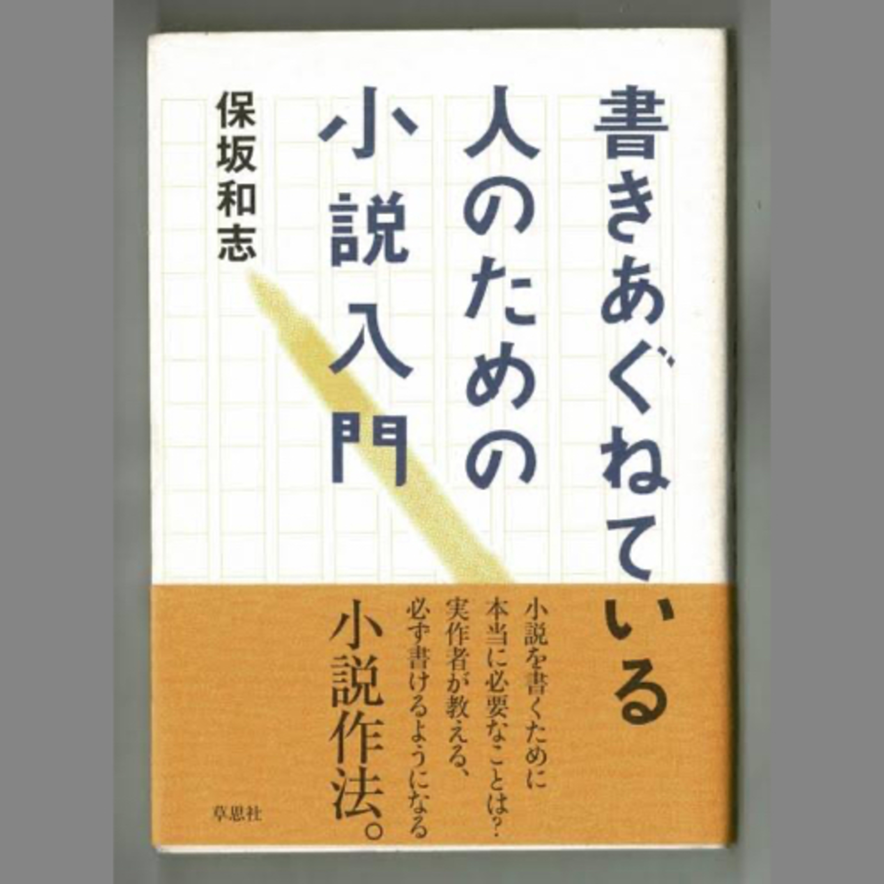 #7 保坂和志 「書きあぐねている人のための小説入門」ー風景を言葉にすること episode artwork