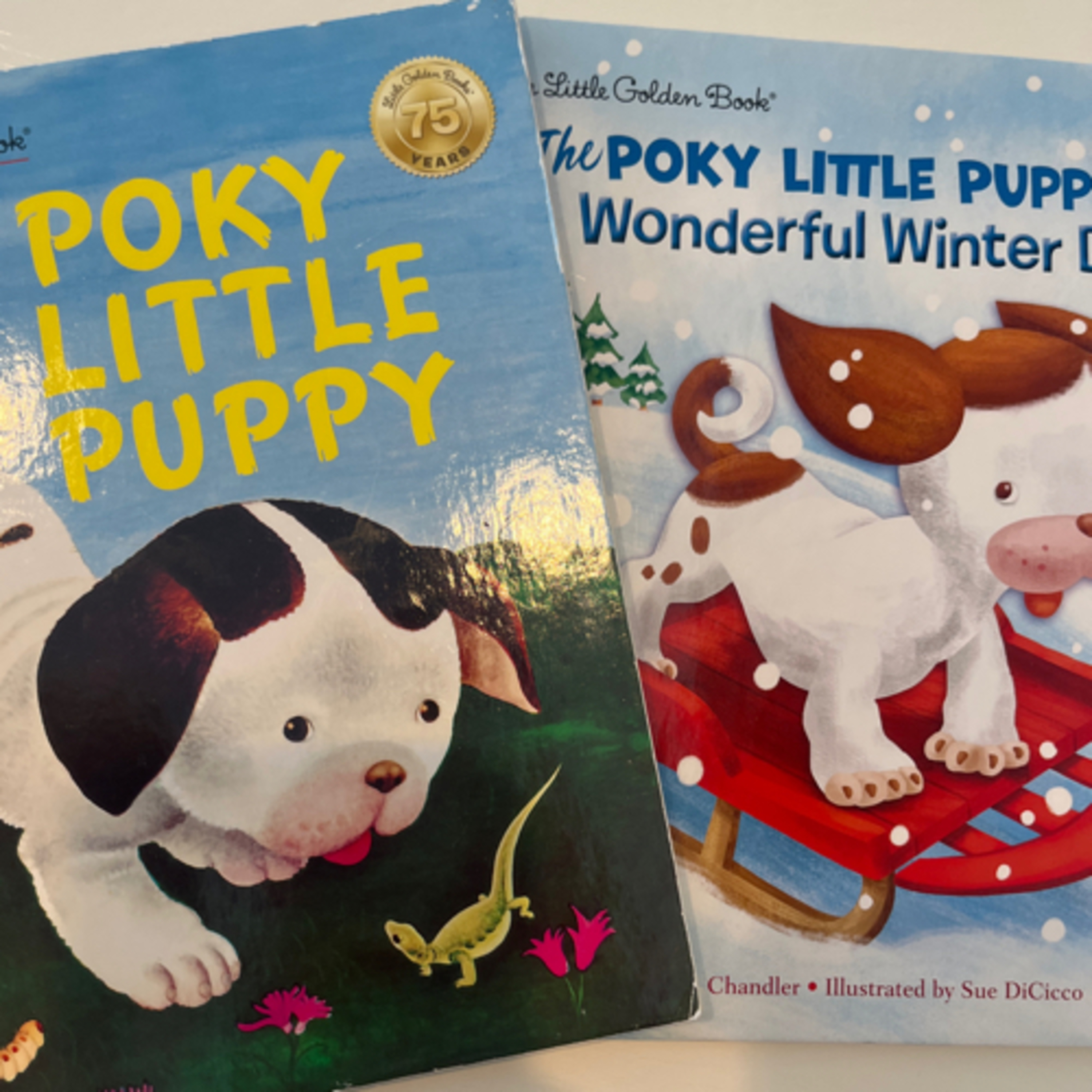 ‘A Book a Day’ Kids Storytime