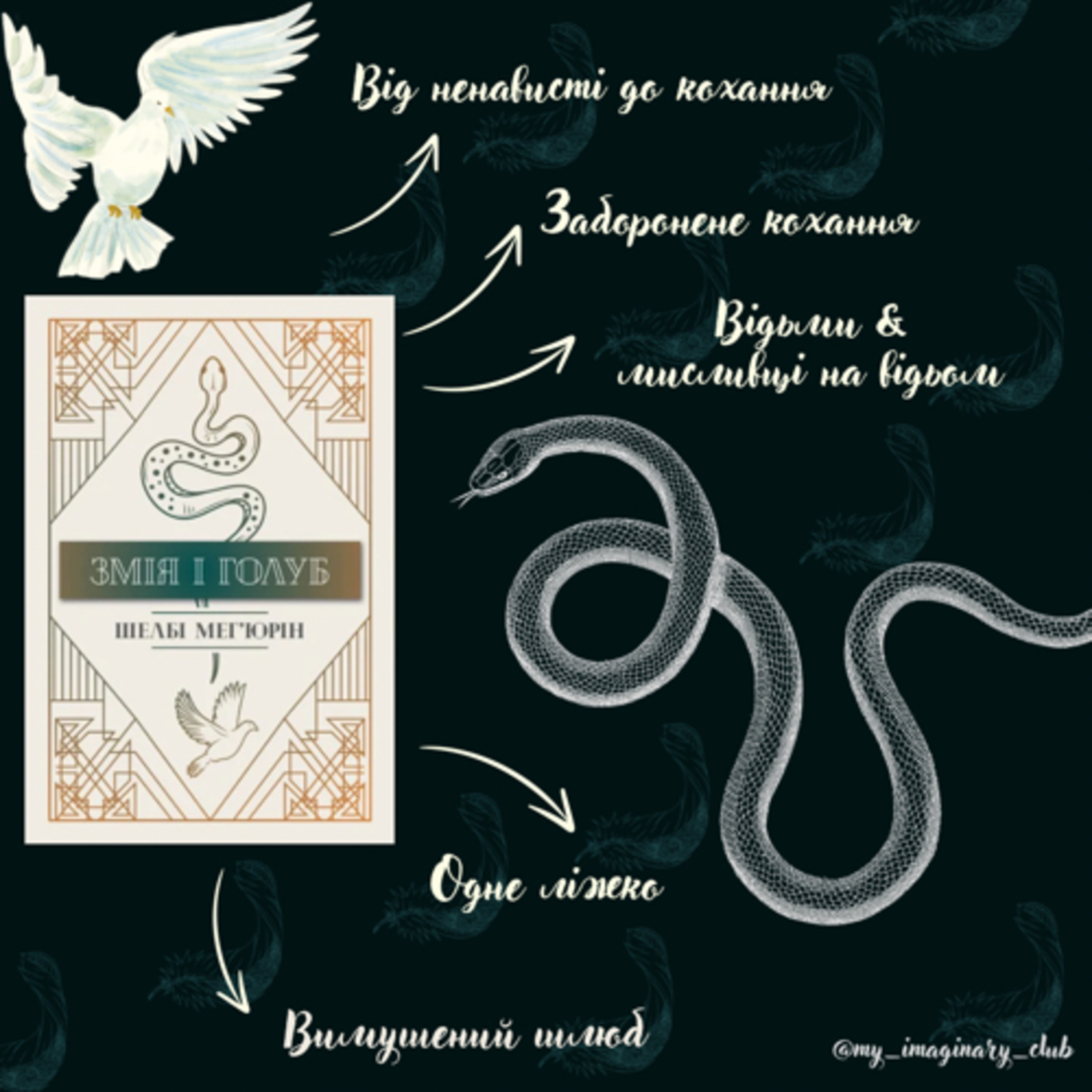 Огляд книги “Змія і голуб”, (Змія і голуб #1), Шелбі Меґʼюрін episode artwork
