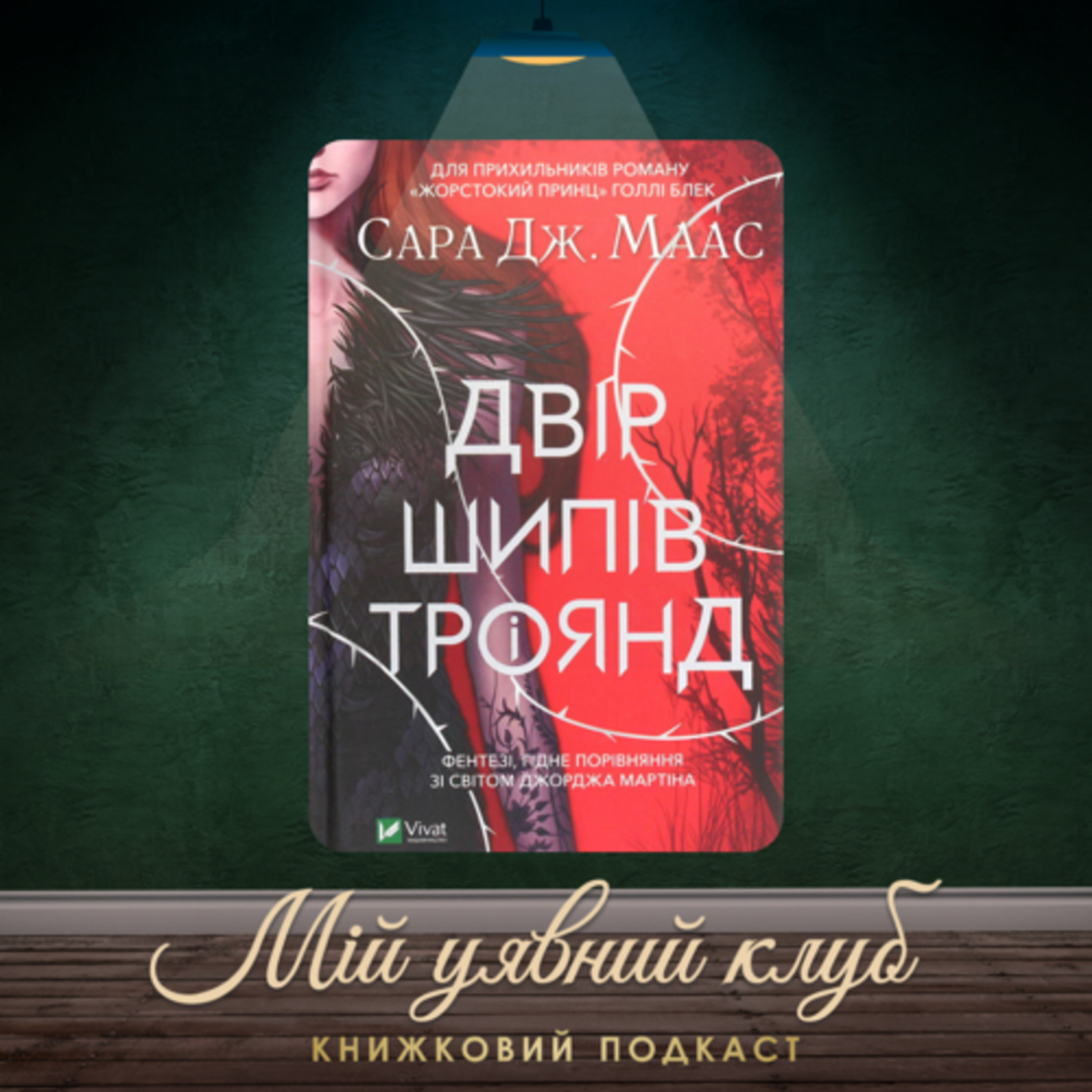 (Треш) огляд книги “Двір шипів і троянд”, серія ДШіТ, Сара Маас episode artwork