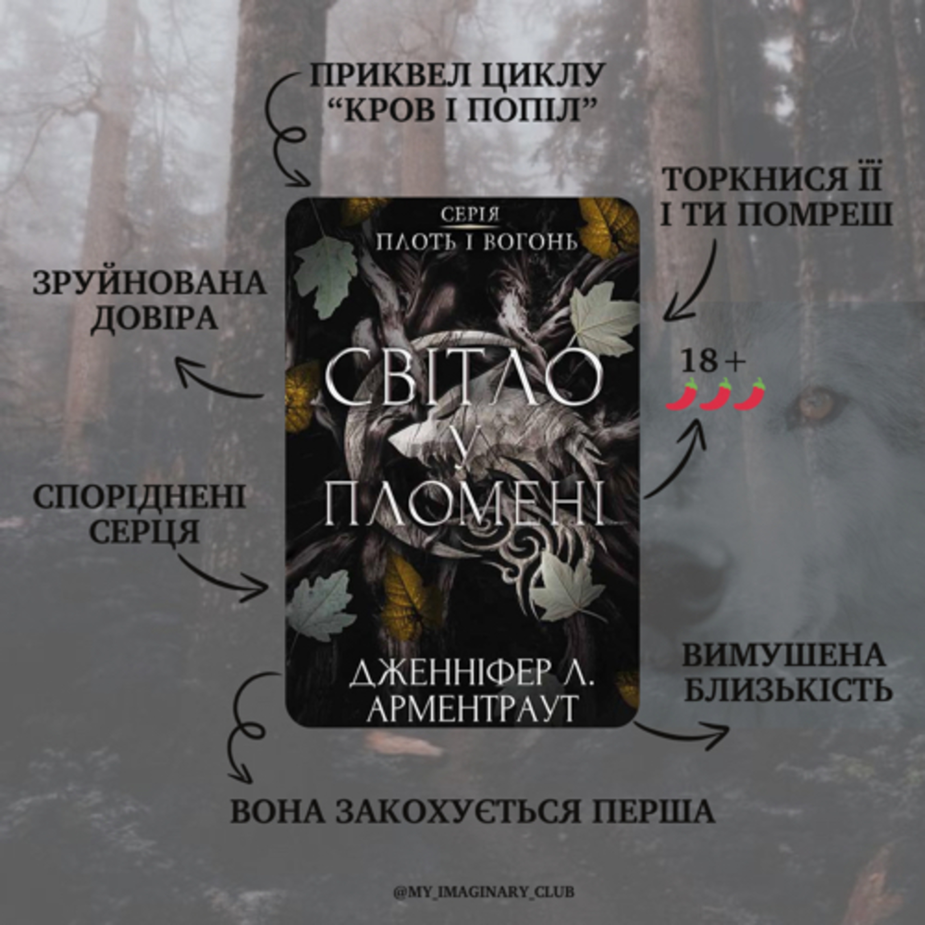 Огляд та переказ книги “Світло у пломені”, Дж. Арментраут episode artwork