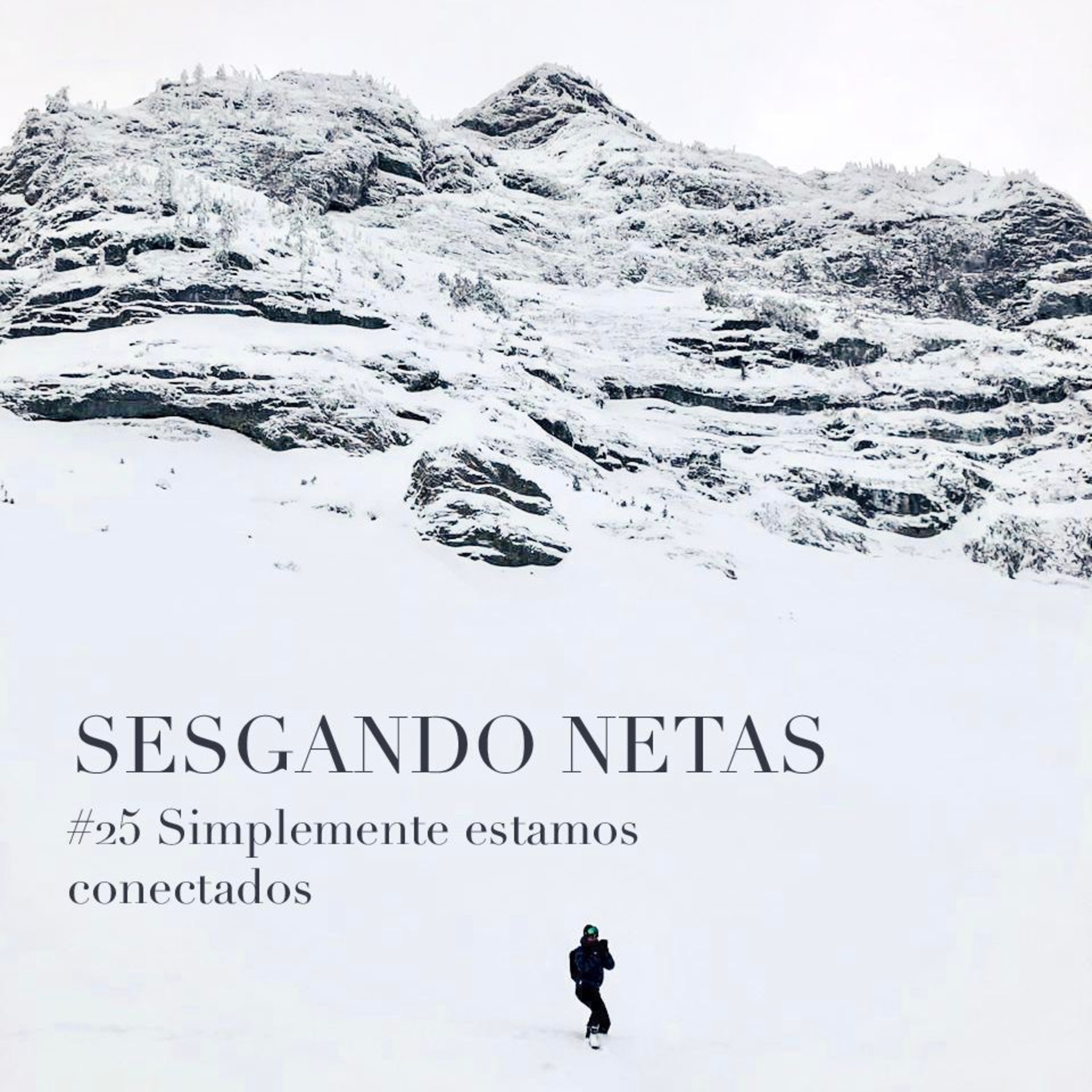 25. Simplemente estamos conectados  episode artwork