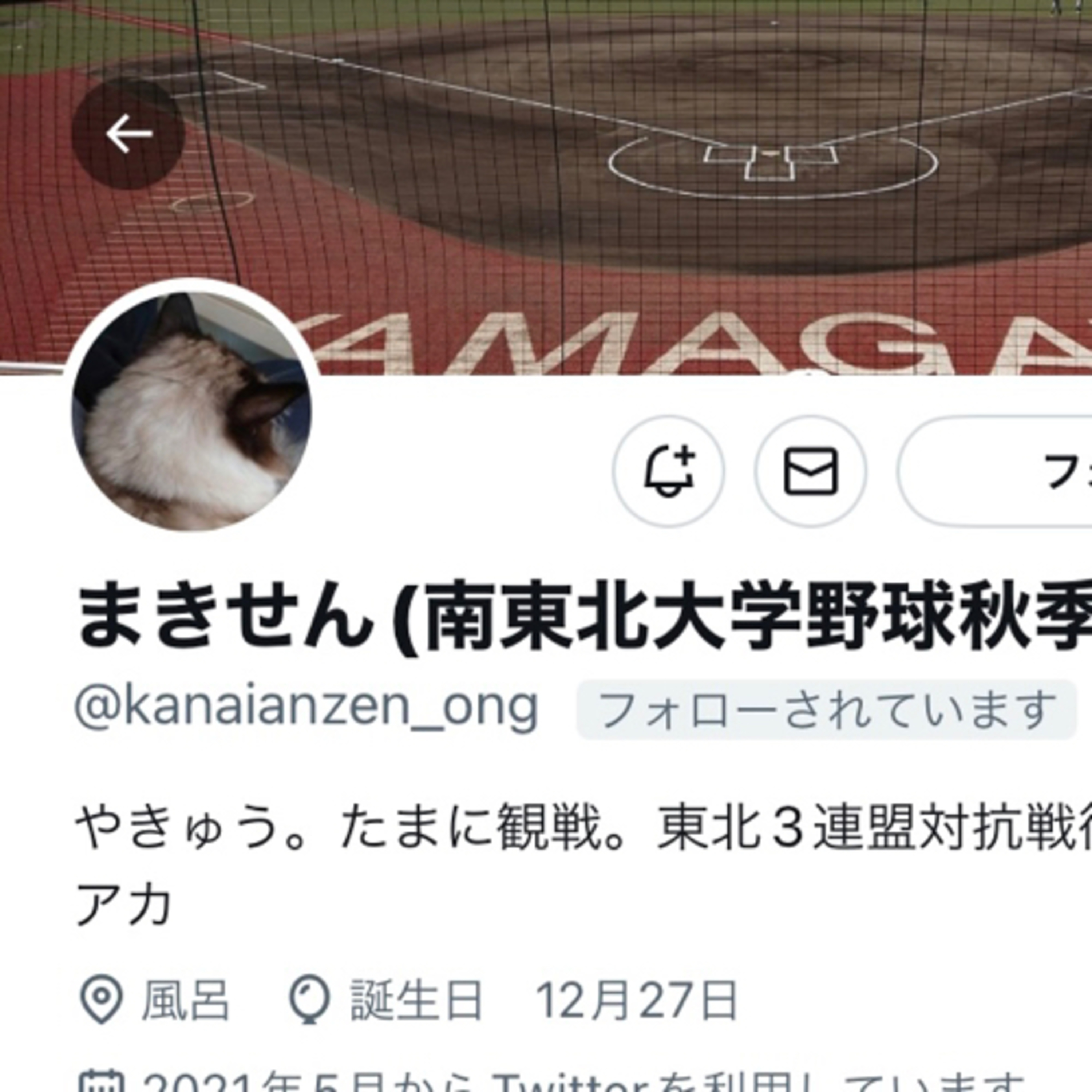 TOHOKU RADIO 360