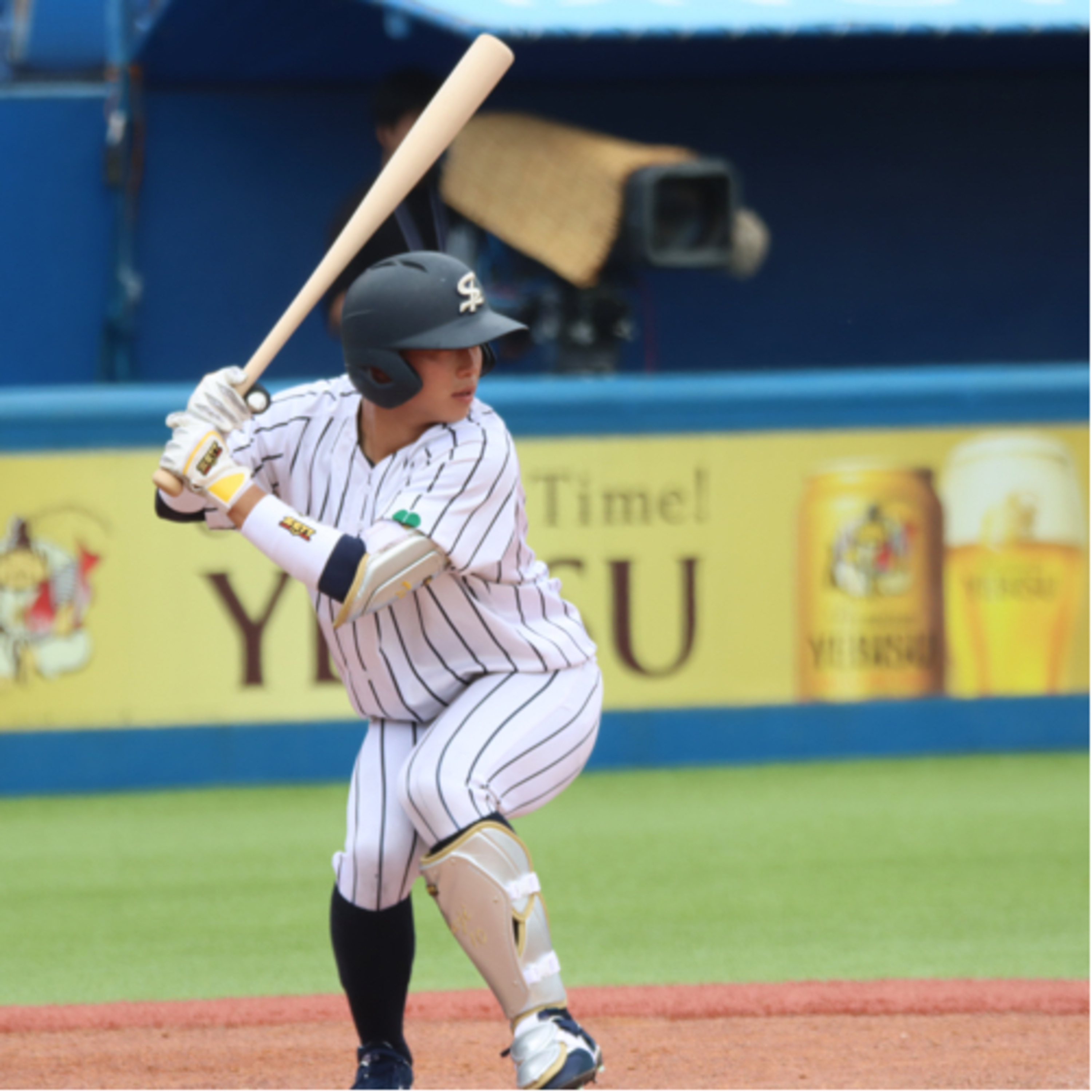 TOHOKU RADIO 360