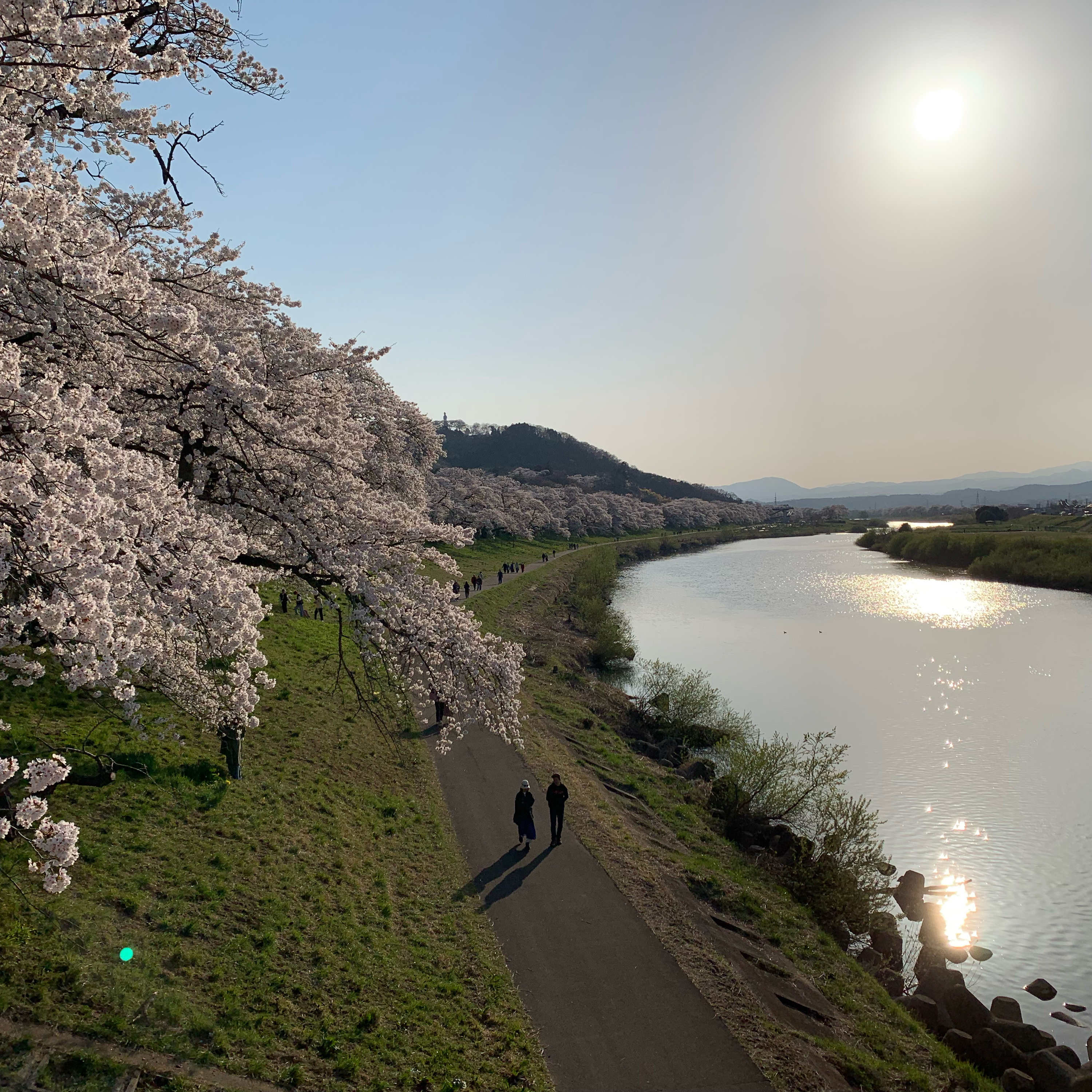 TOHOKU RADIO 360