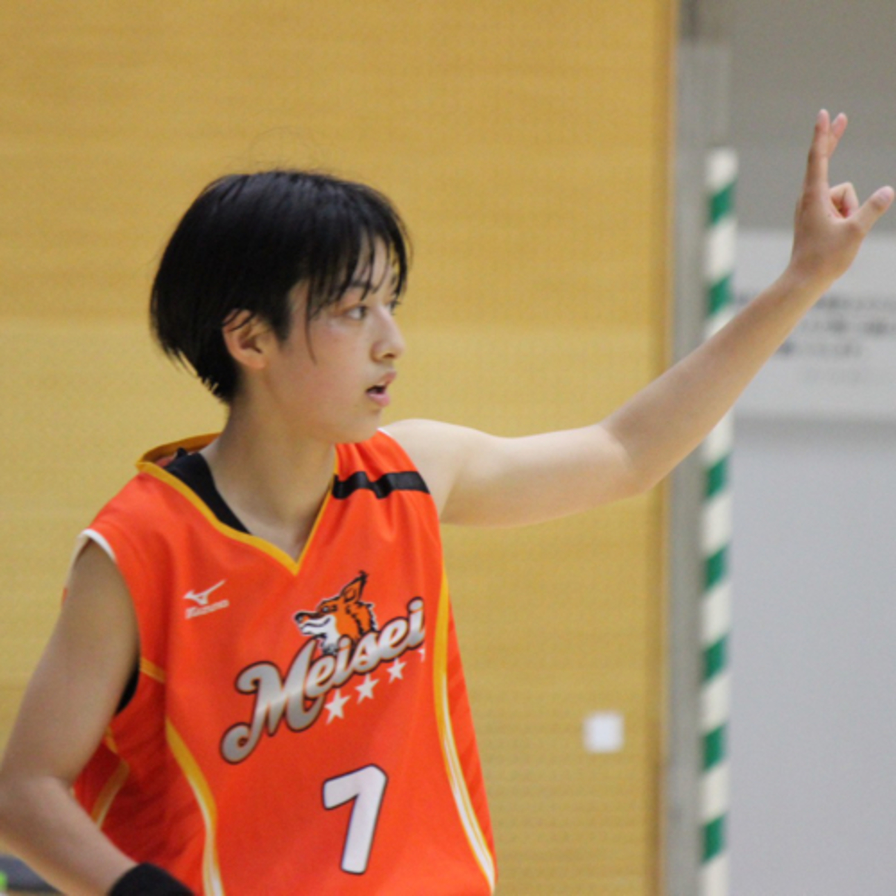 TOHOKU RADIO 360