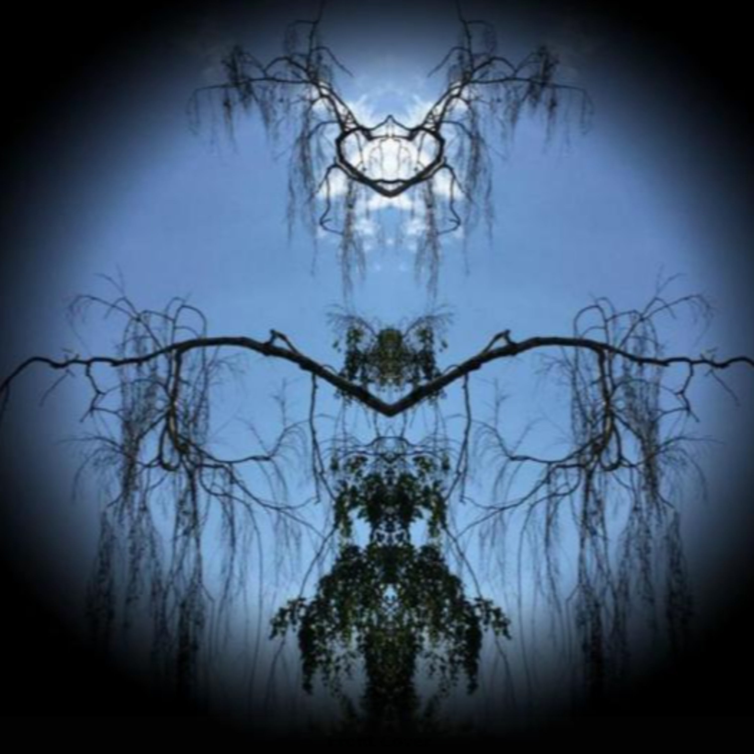 Awake In The Big Dream