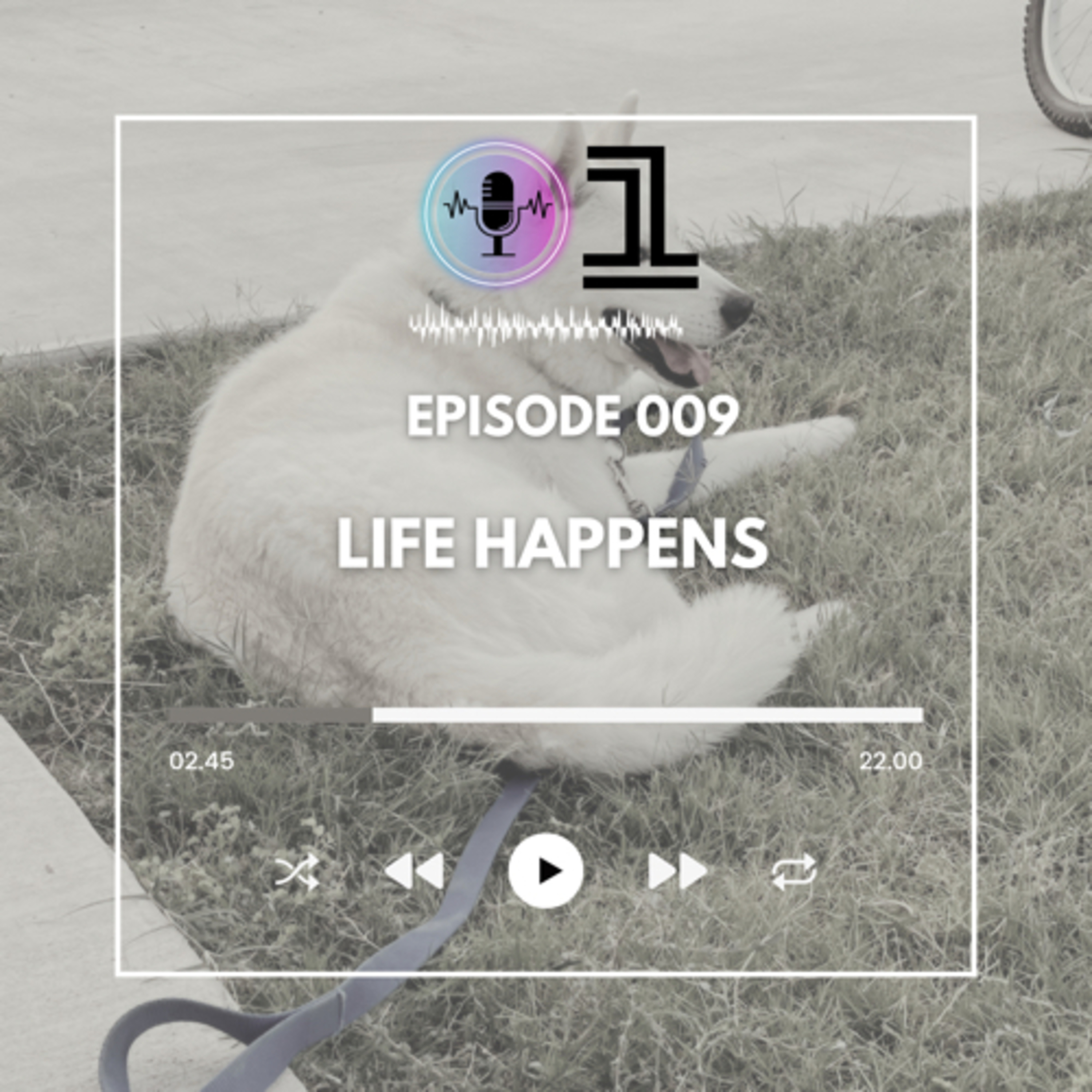 DOT 1 : Mindset