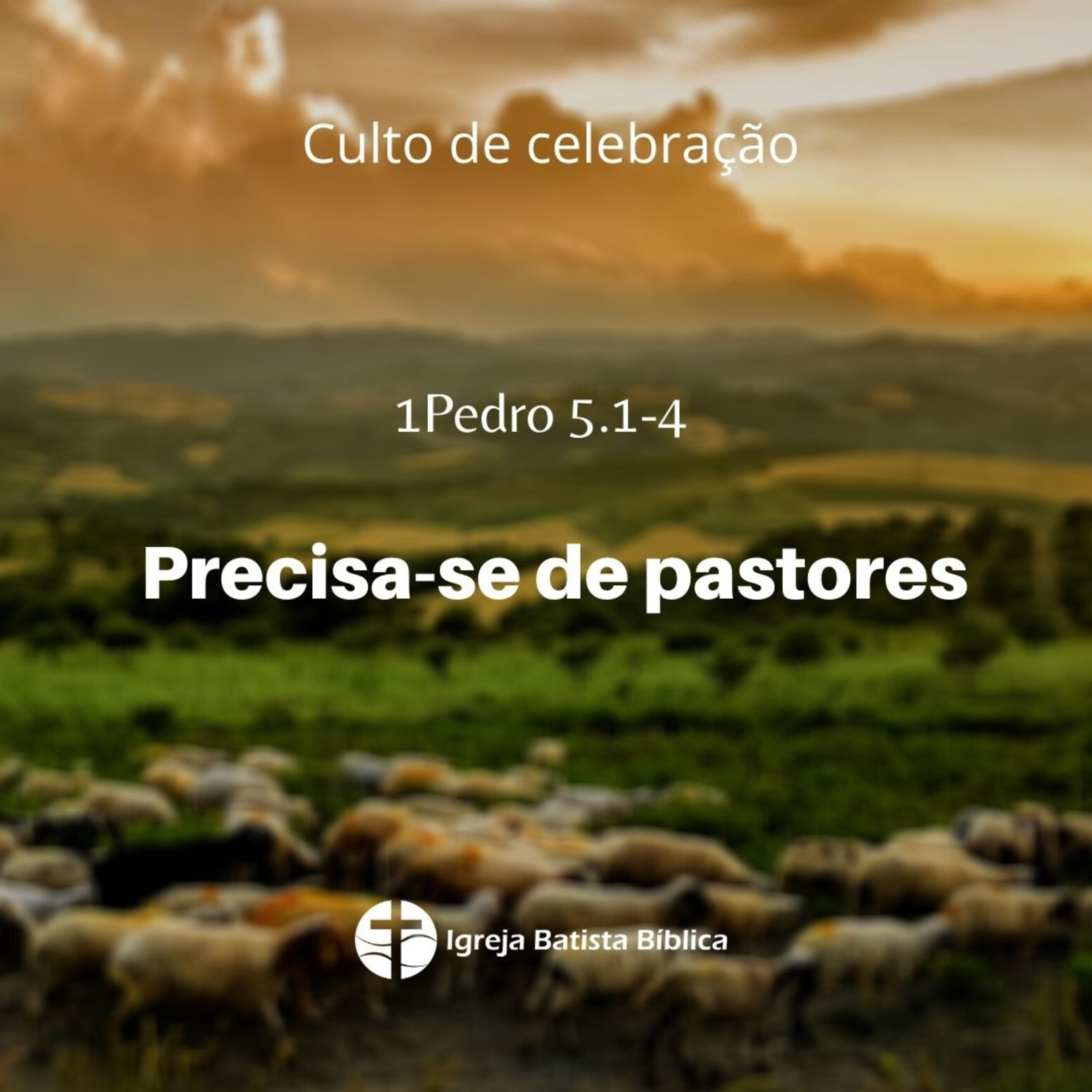 Precisa-se de pastores episode artwork