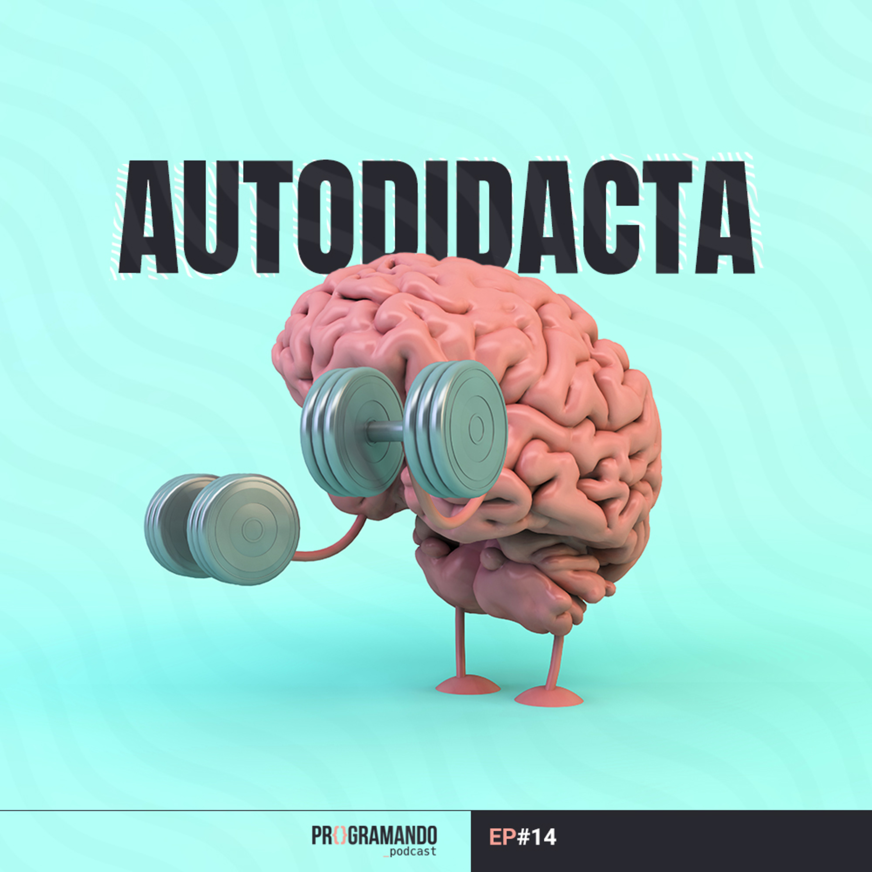¿Es necesario ser autodidacta para ser programador?