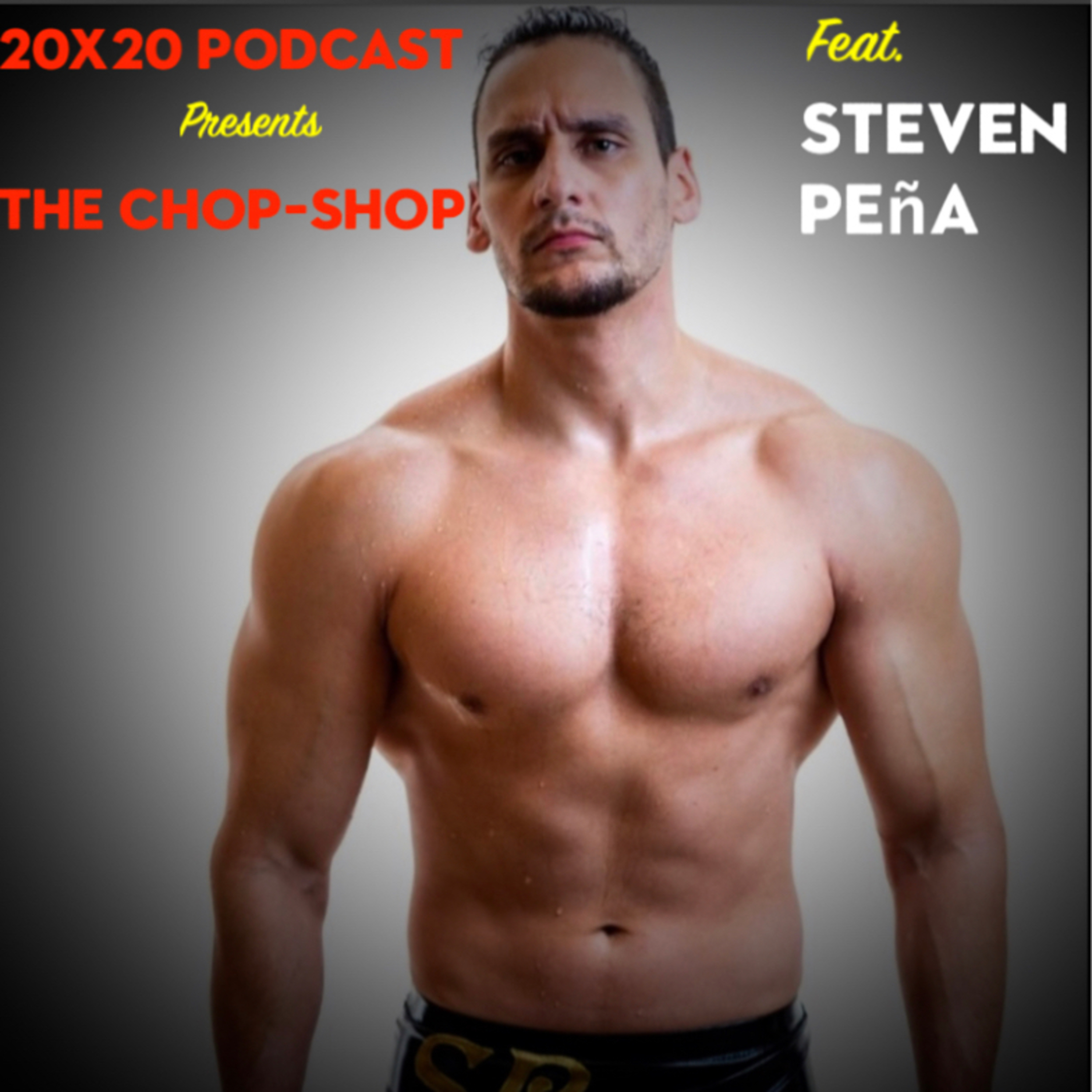 20x20 Podcast