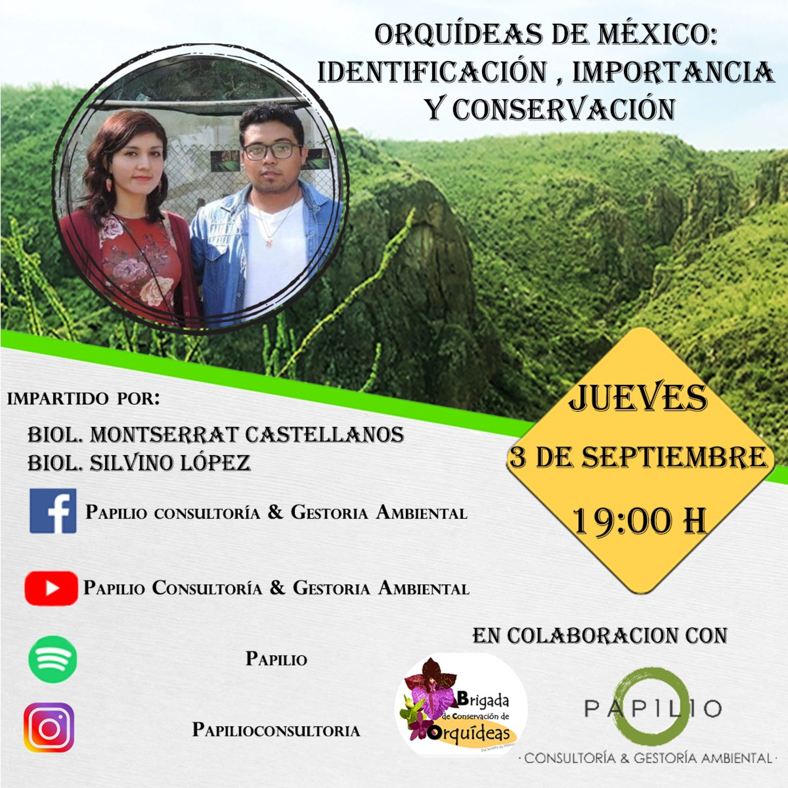 Papilio Consultoria Ambiental