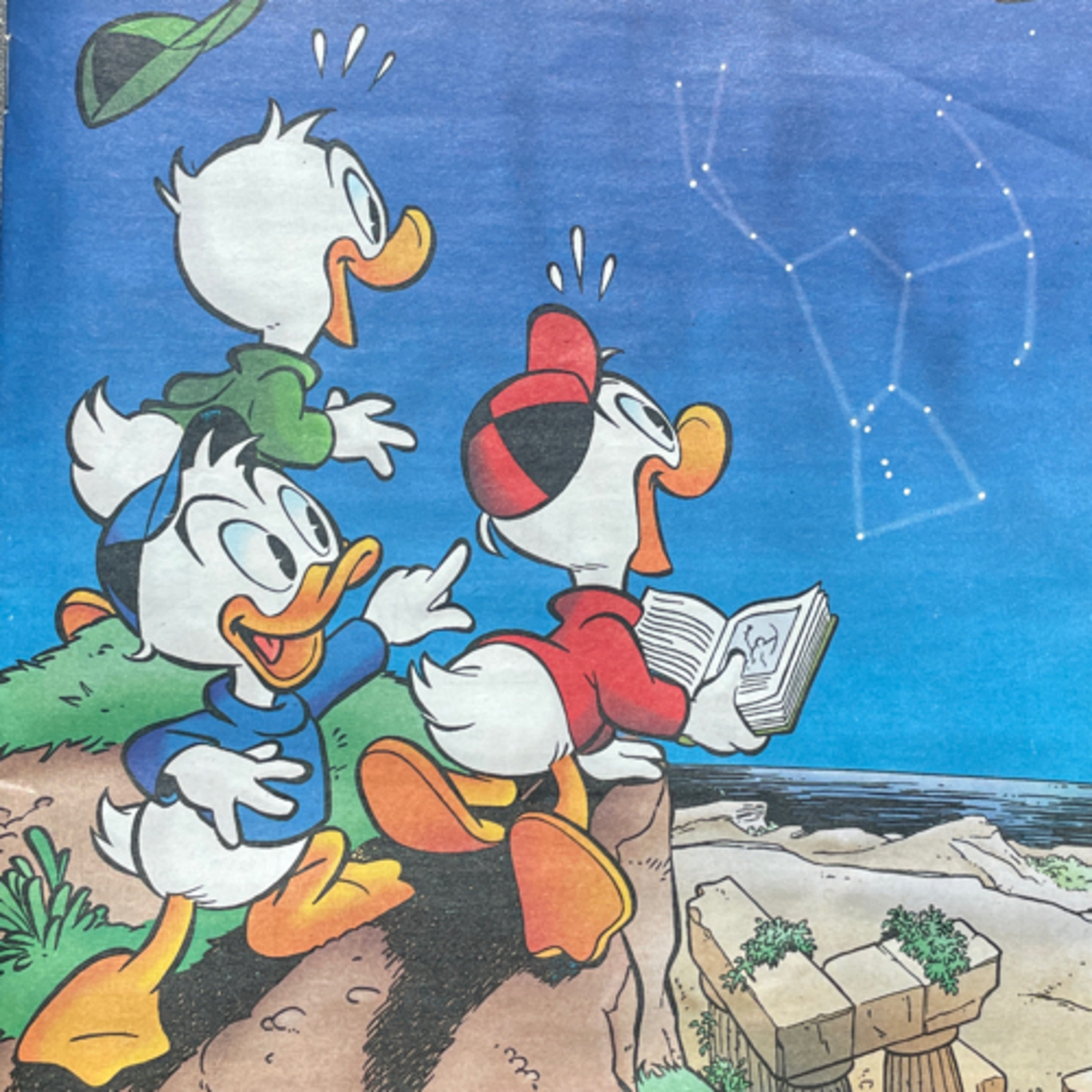 Donald Duck Voorleescast