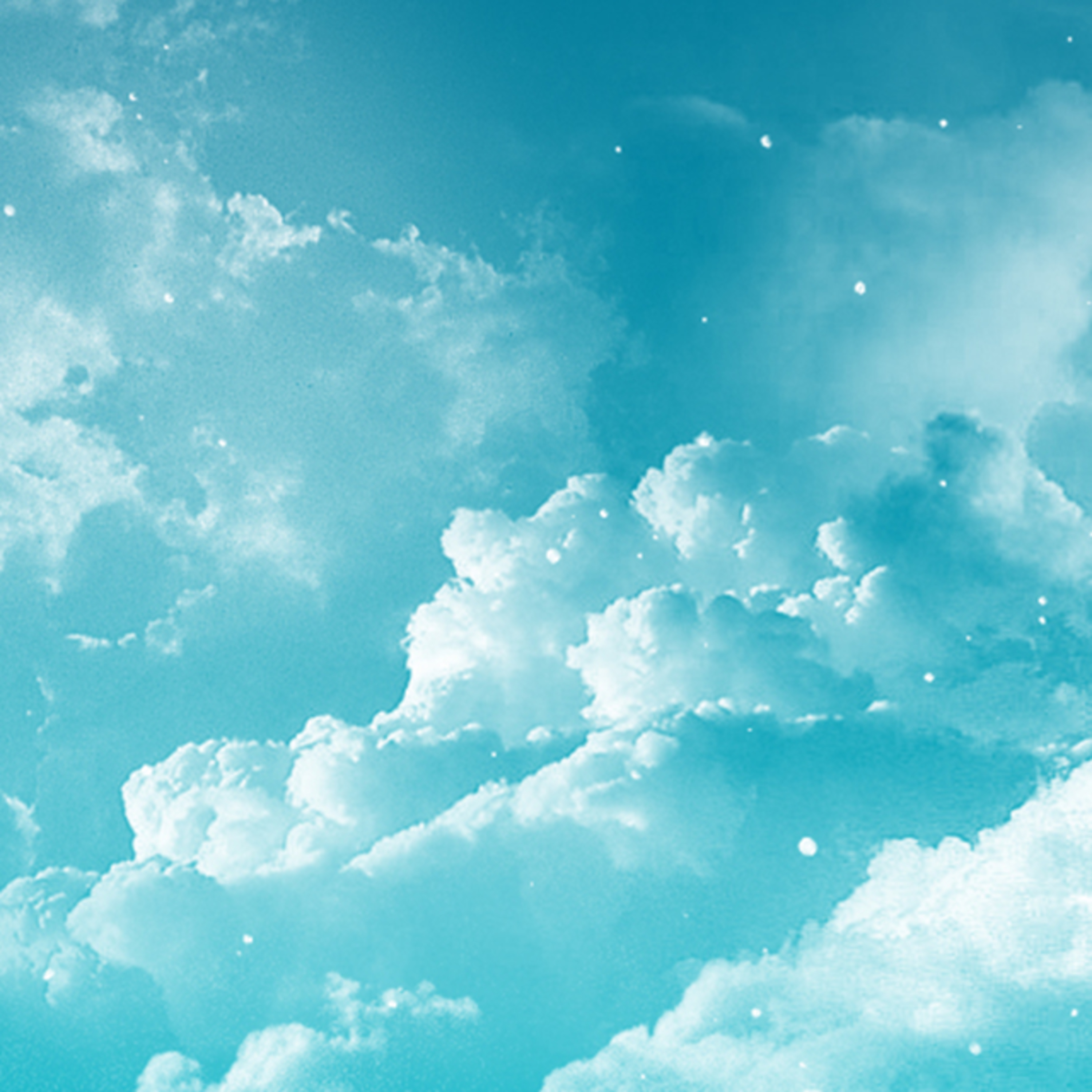 Jose Andres Robalino