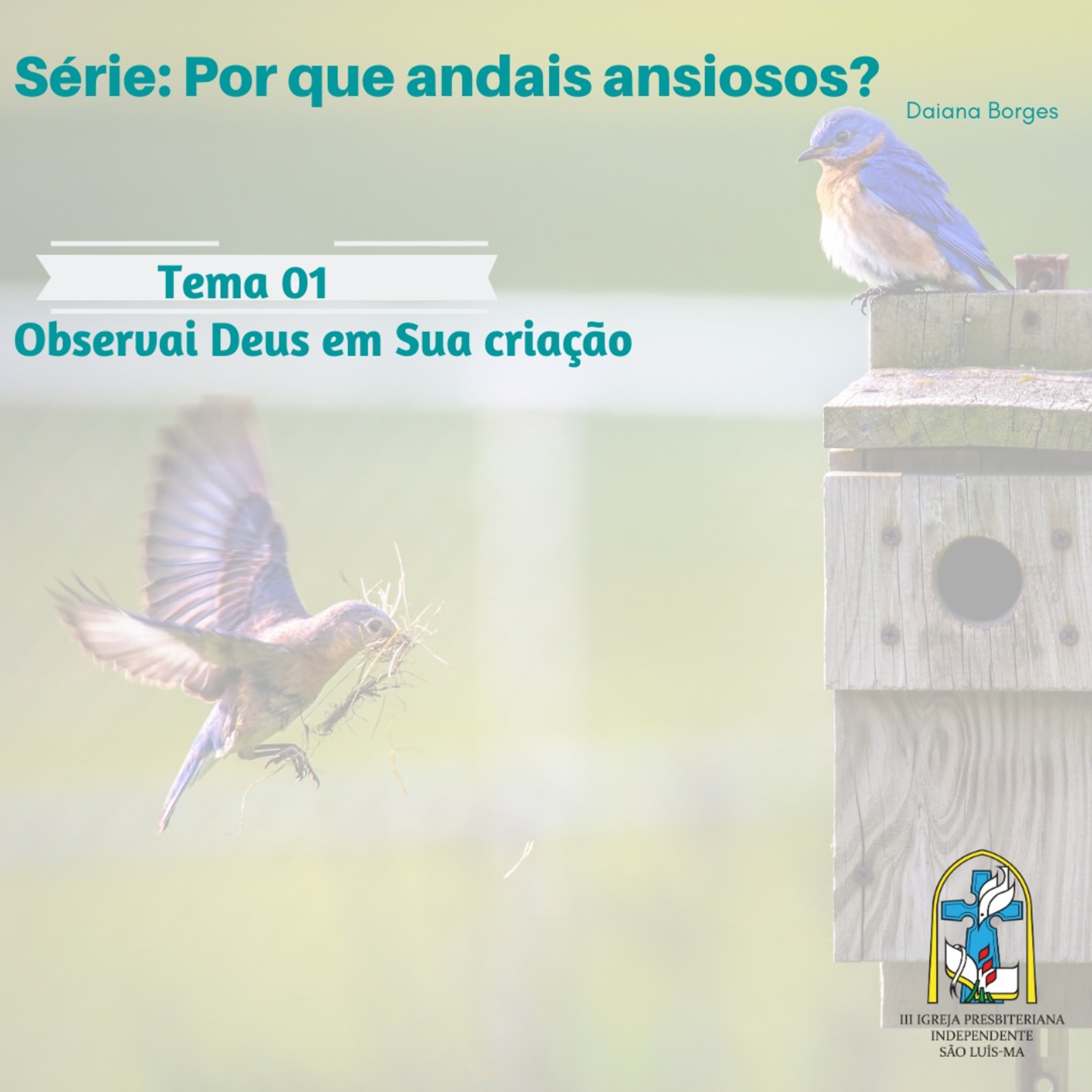 3 IPI SÃO LUIS