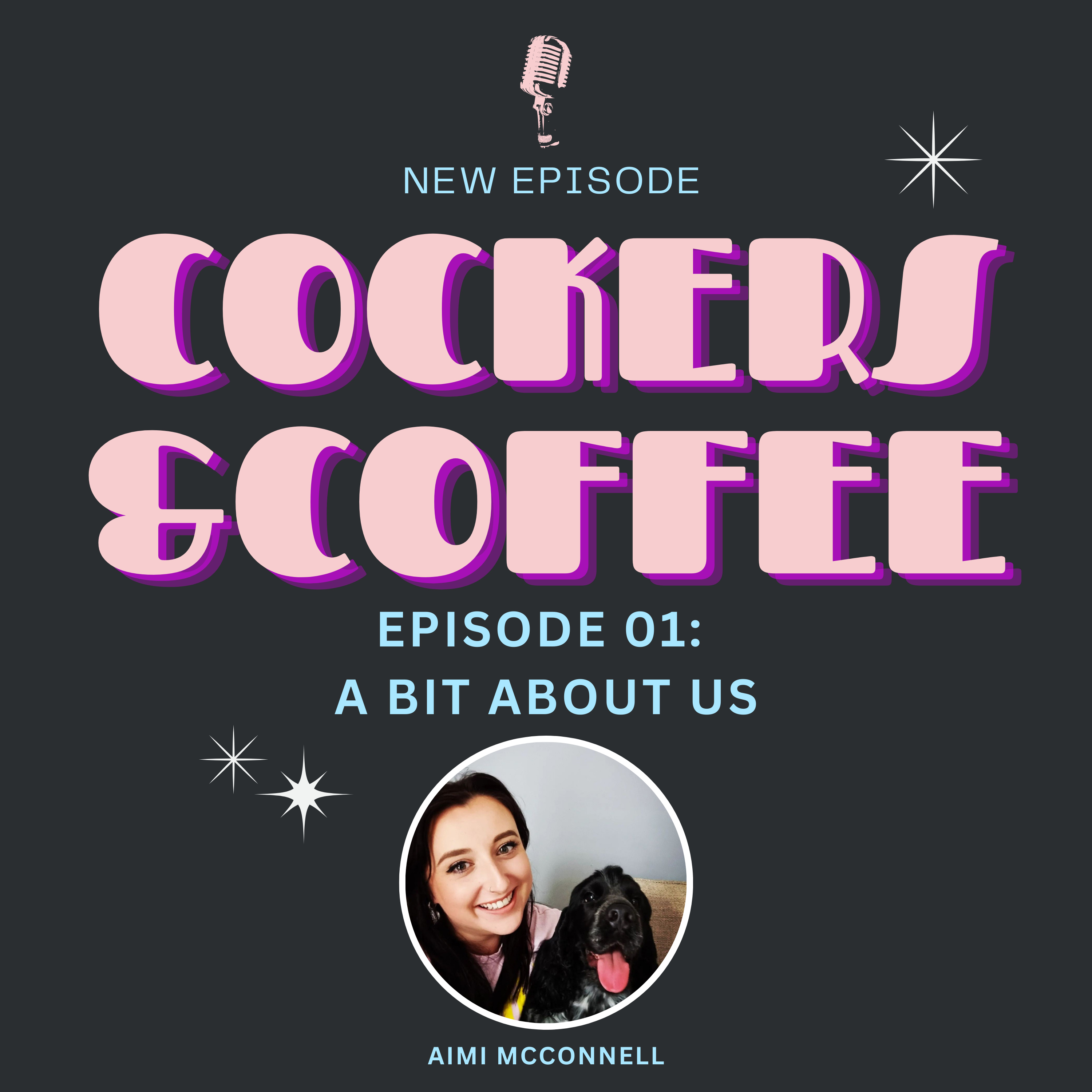 Episode 01: A bit about us episode artwork