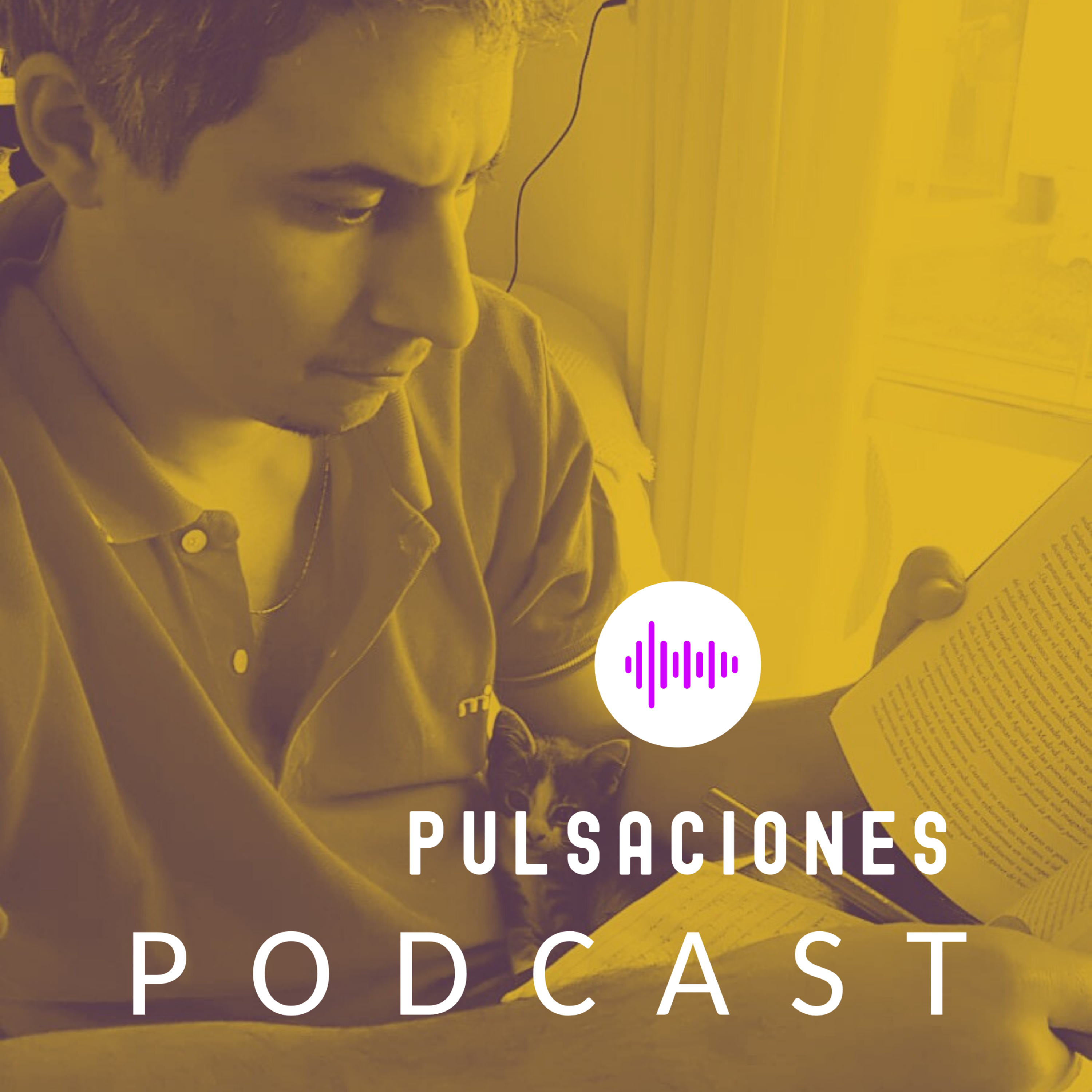 Pulsaciones