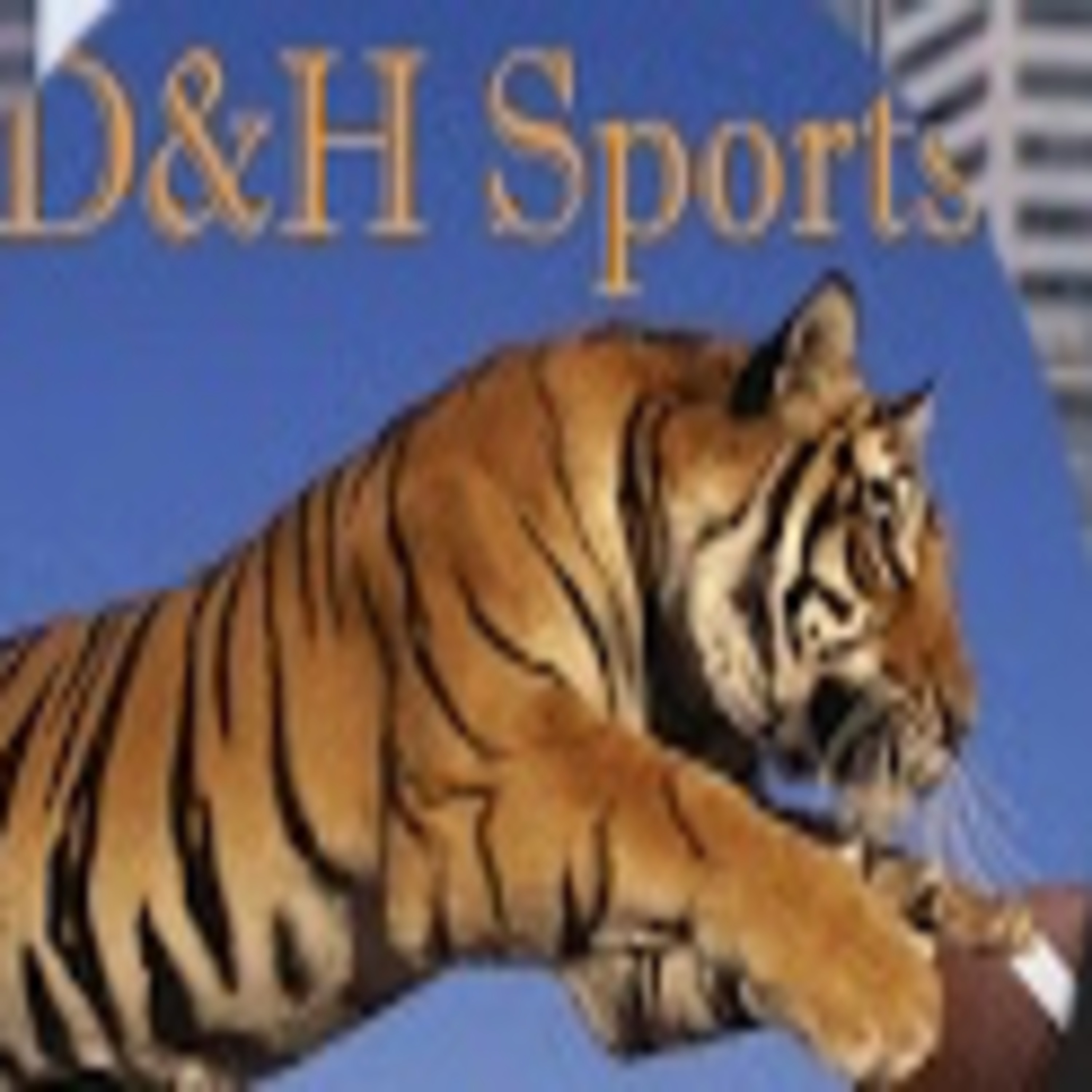 ZIMWHODEY BENGALS