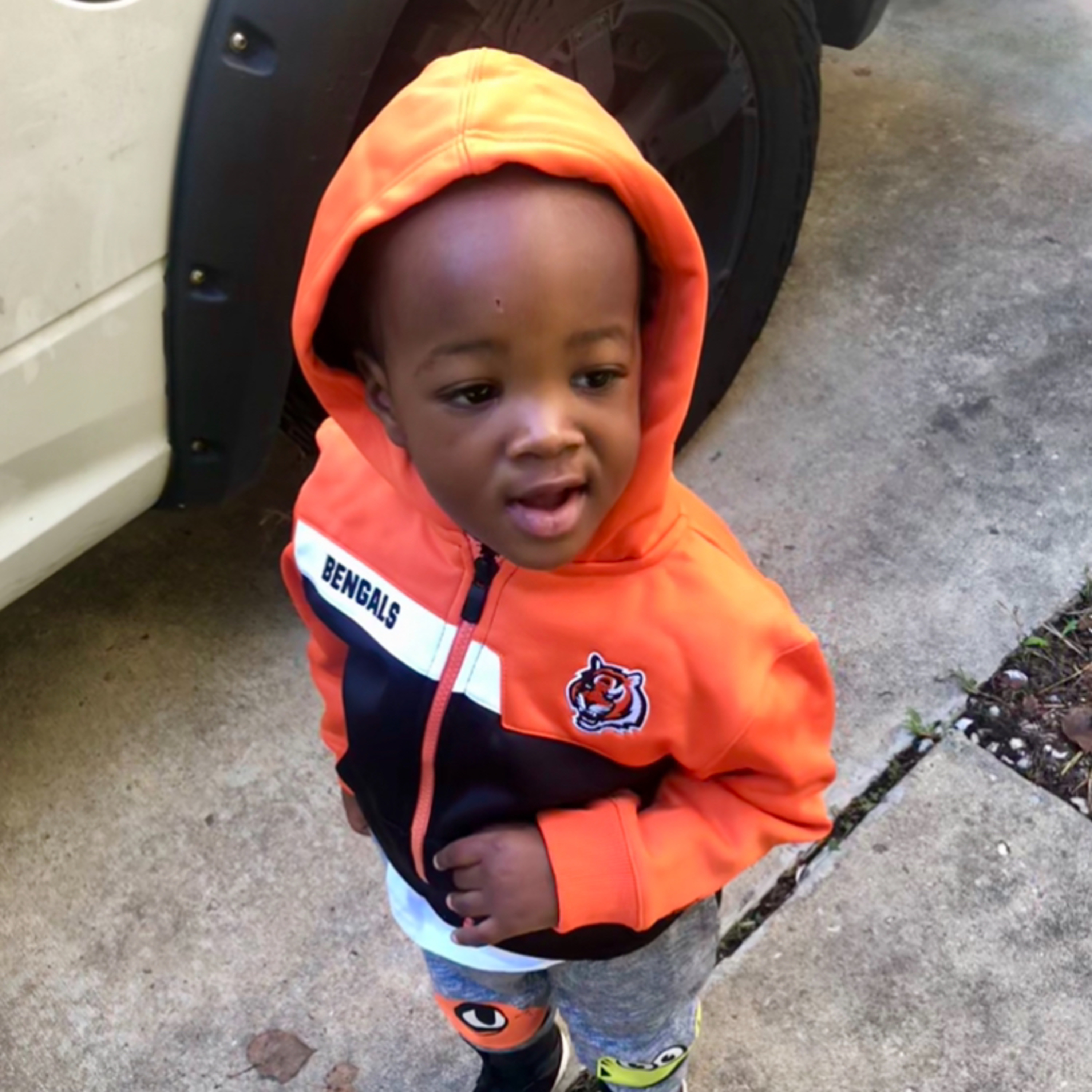ZIMWHODEY BENGALS