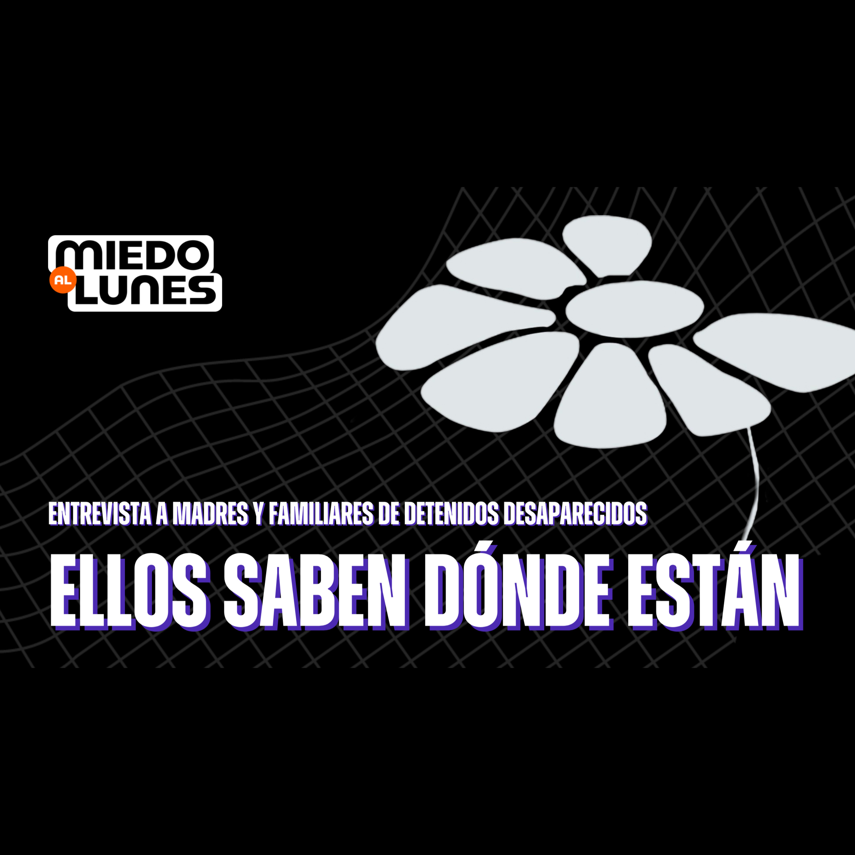 NO HAY una POLÍTICA integral de DERECHOS HUMANOS - Madres y Familiares de Detenidos y Desaparecidos episode artwork
