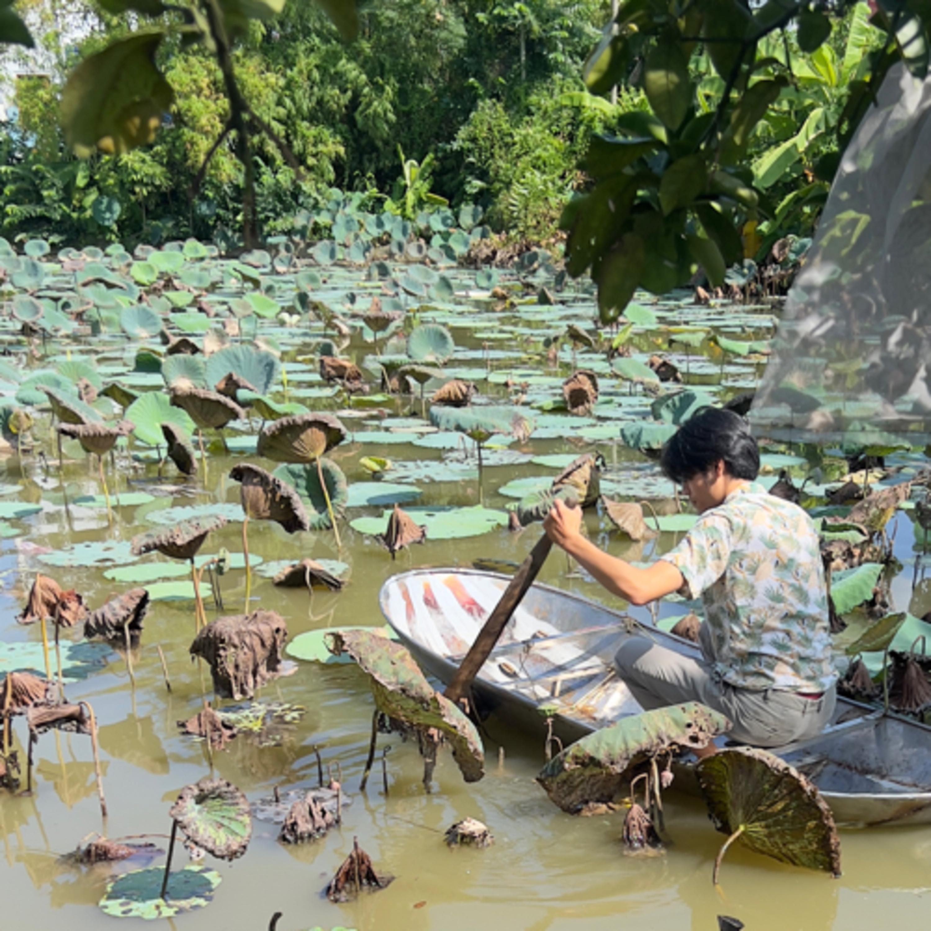 Một Cây Tùng