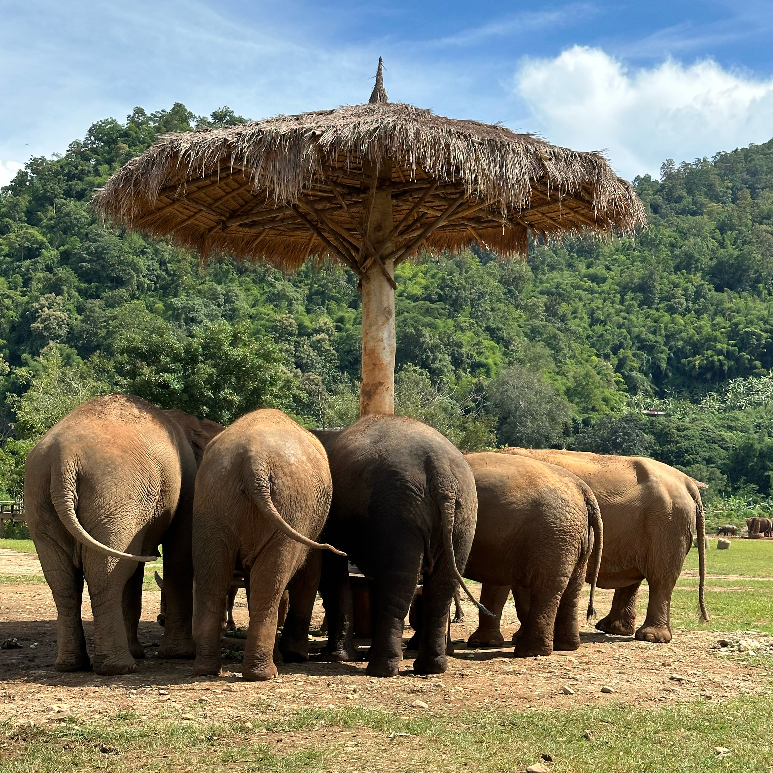 小朋友的無限個為什麼？