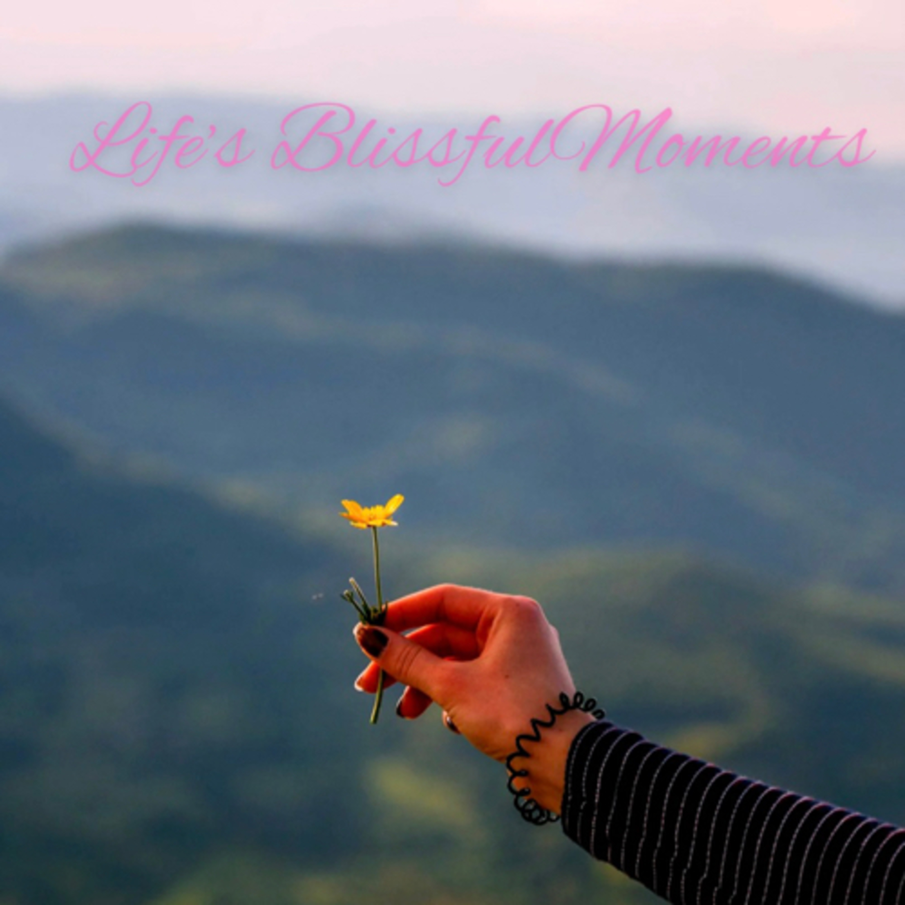 Life’s Blissful Moments episode artwork
