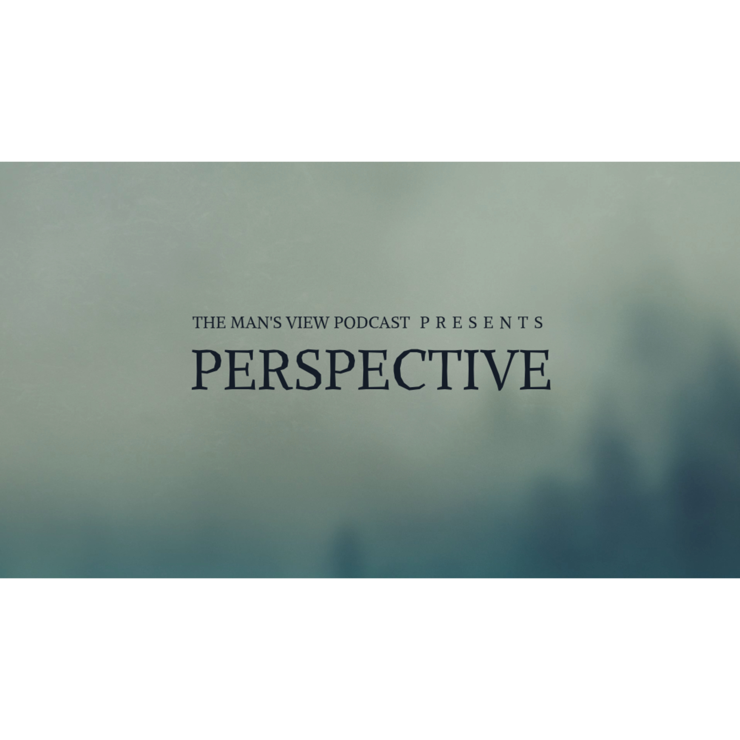 Perspective episode artwork