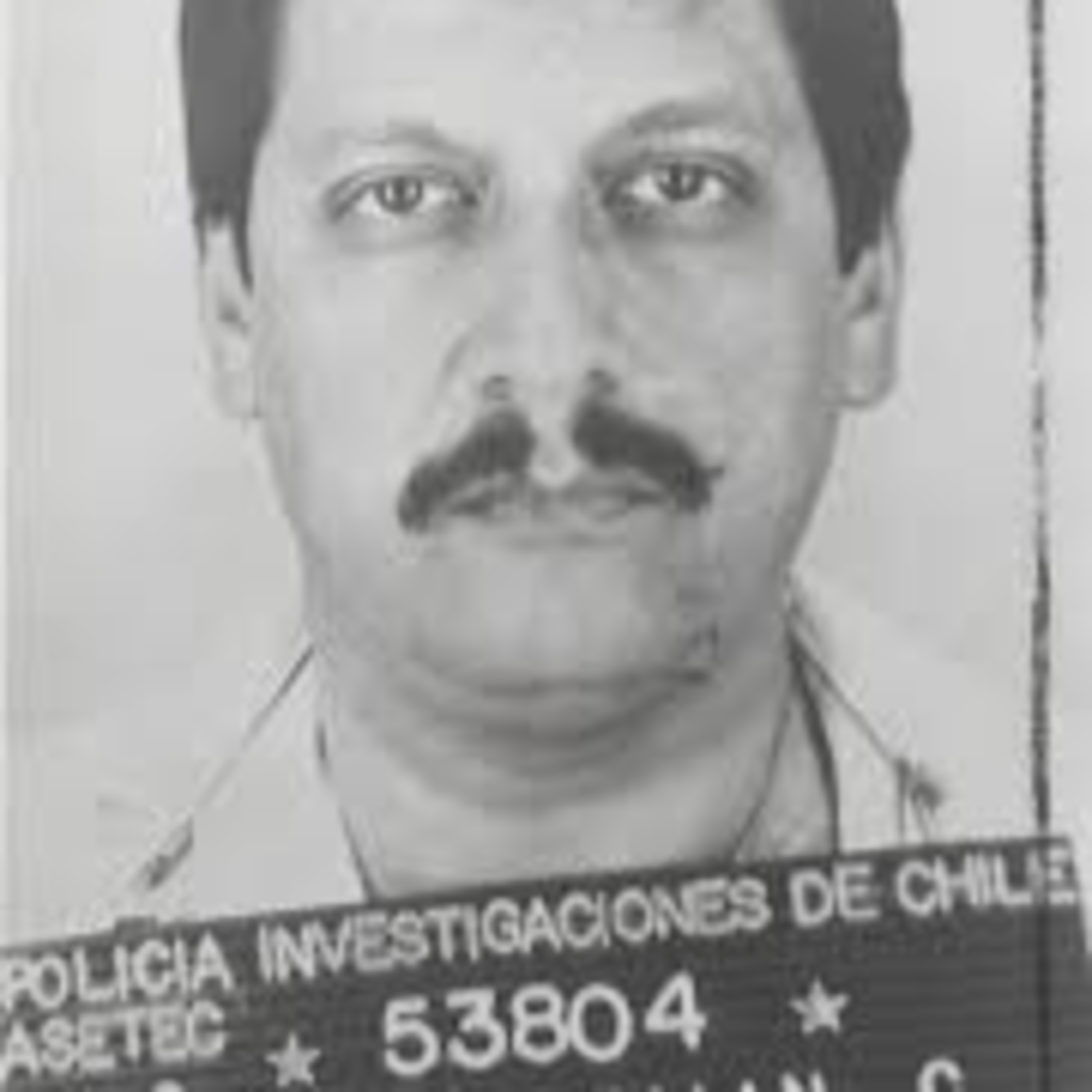 LA CUARENTENA CON MARGUIROTT