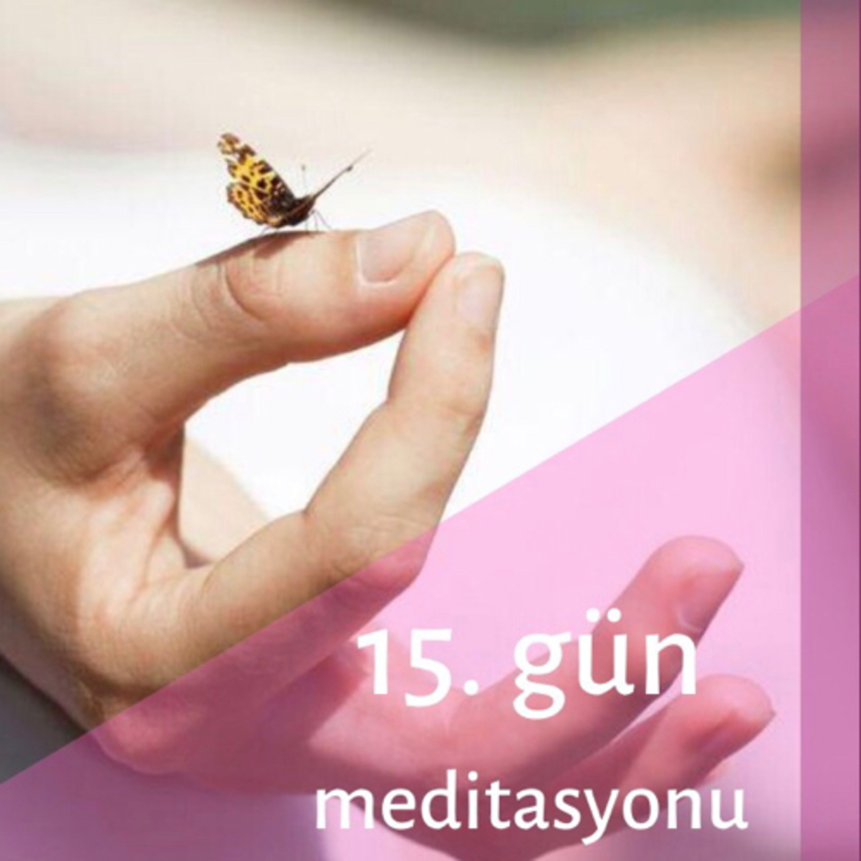 Derya Deniz