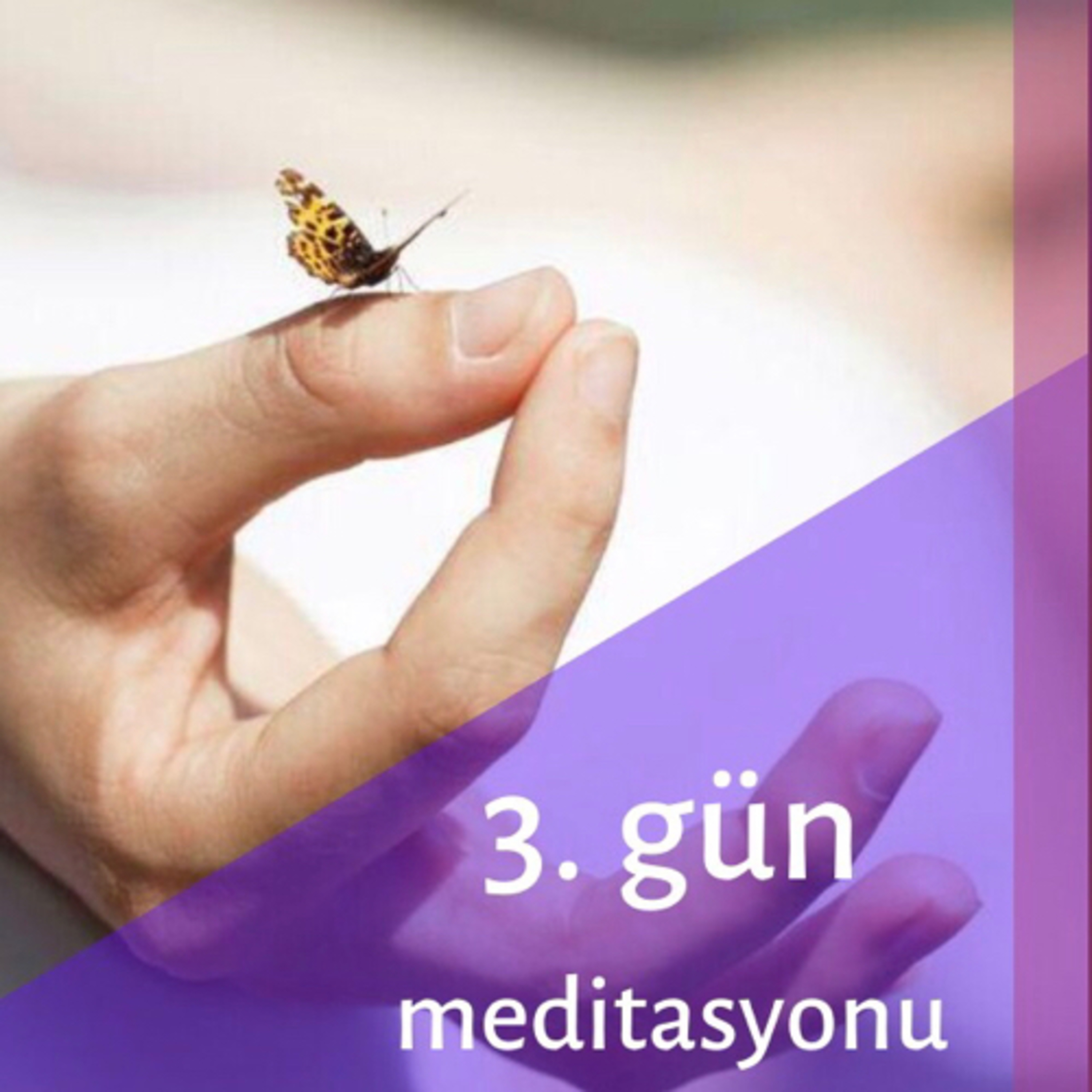 Derya Deniz