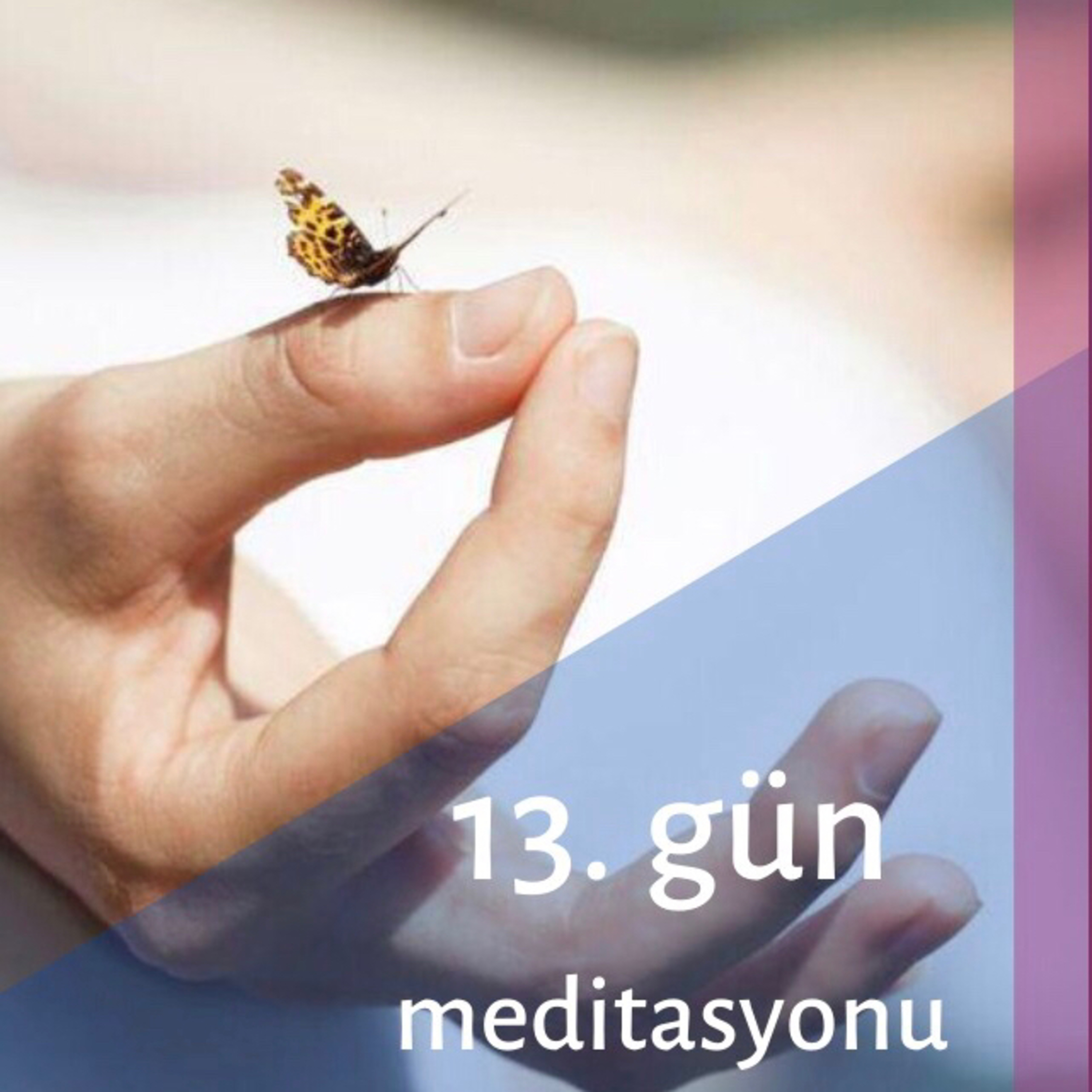 Derya Deniz