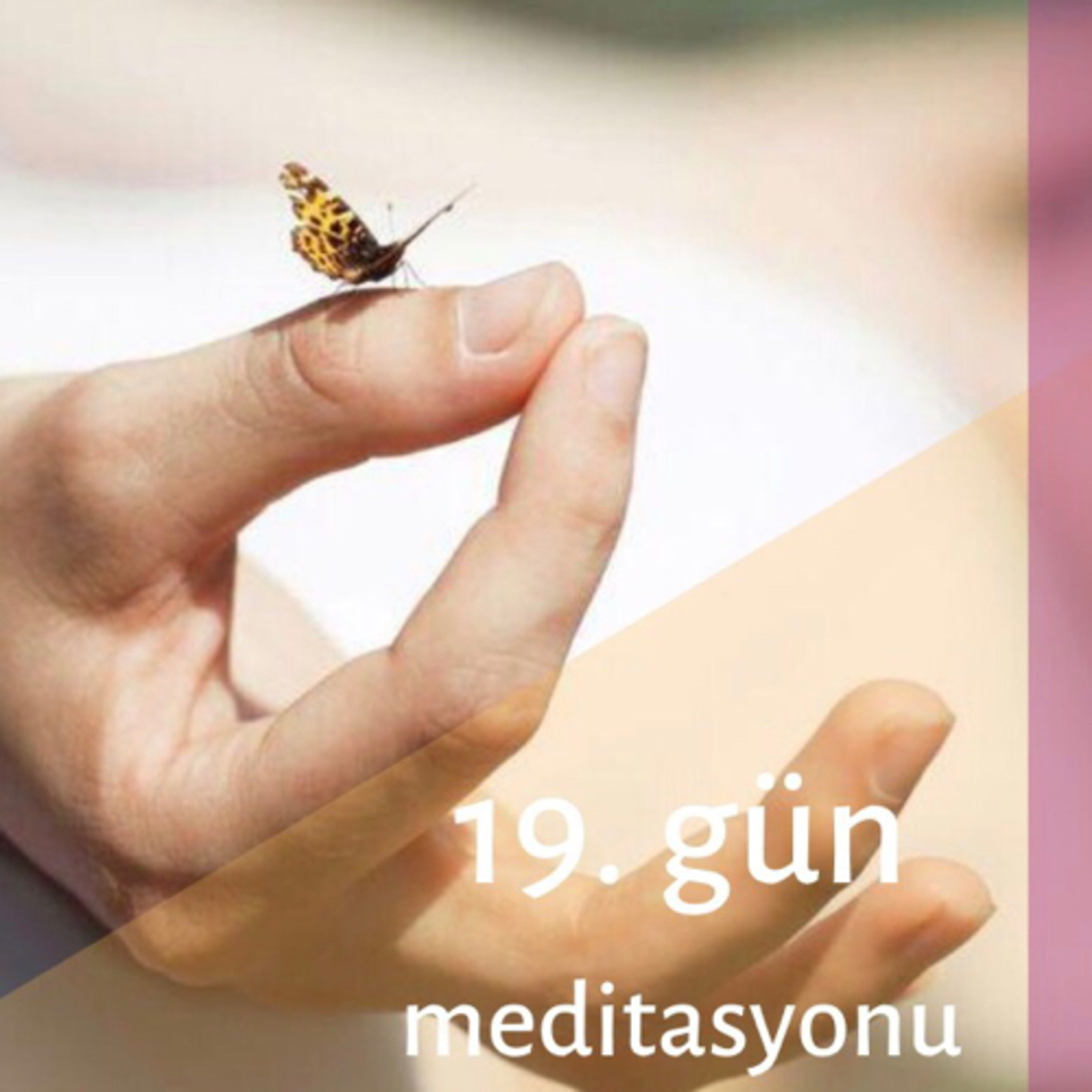 Derya Deniz
