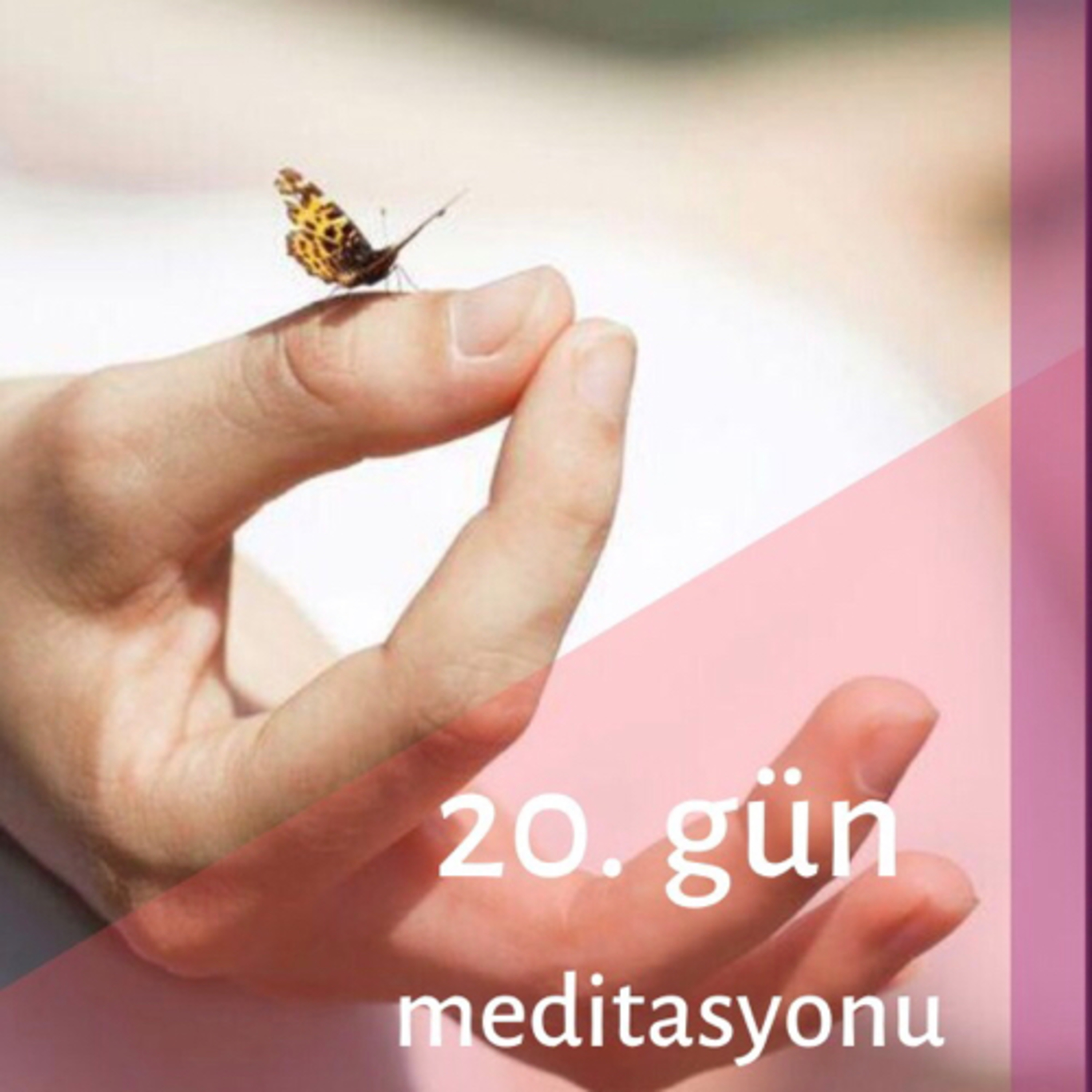 Derya Deniz