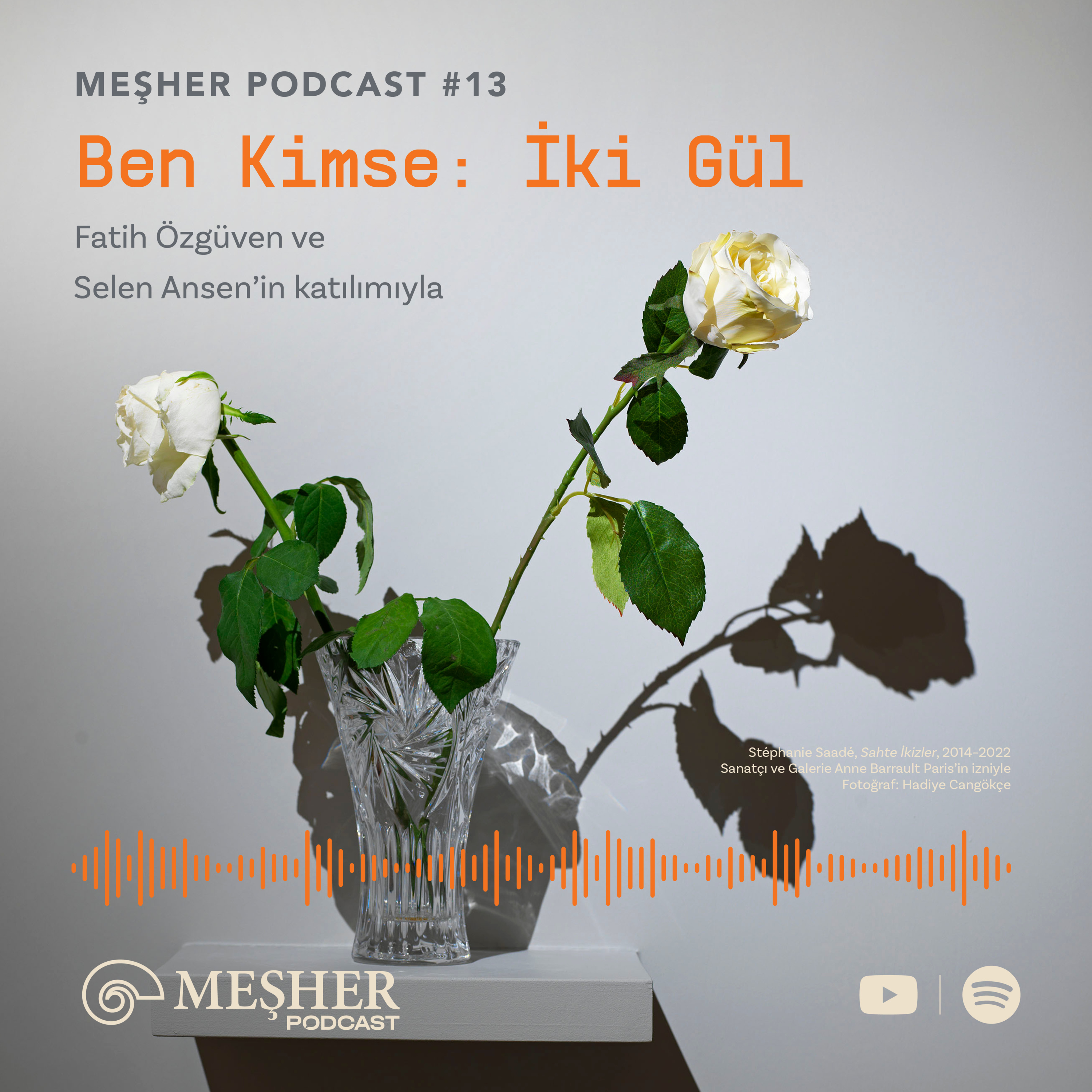 Bölüm 13: Ben Kimse: İki Gül episode artwork