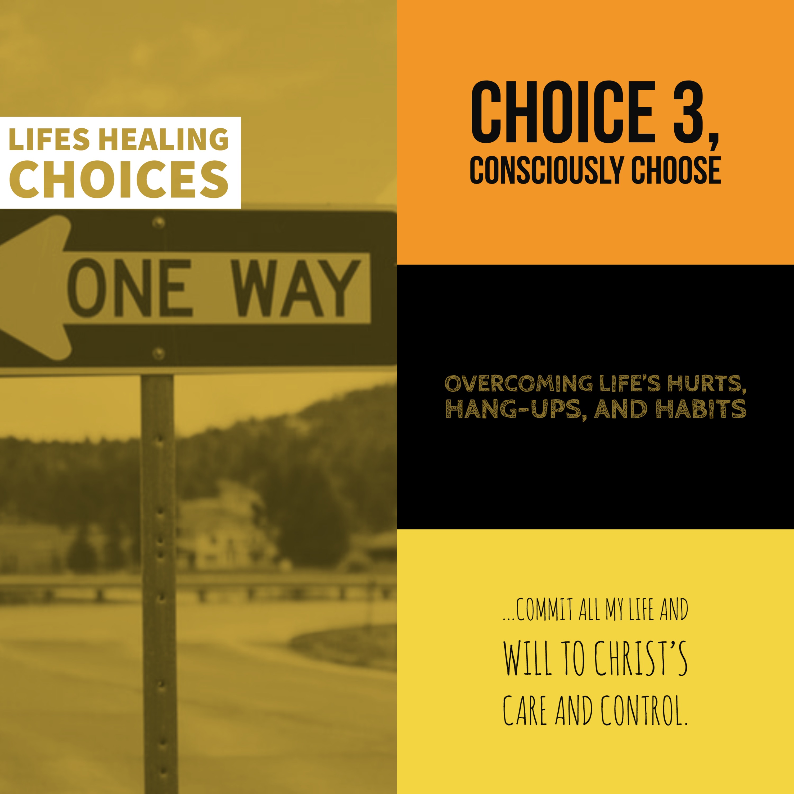 Choice 3 Letting Go episode artwork