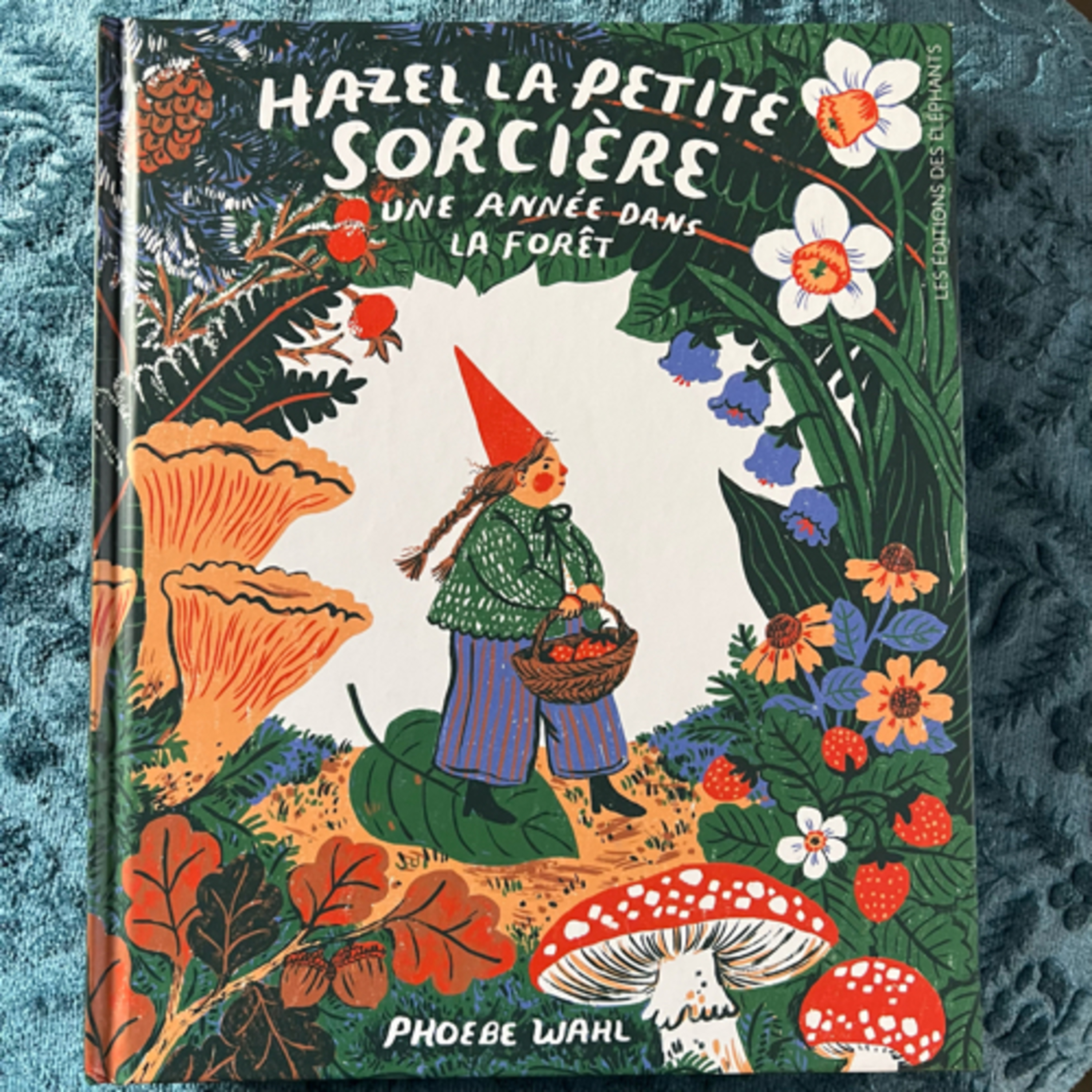 Hazel la petite sorcière : Une année dans la forêt  episode artwork
